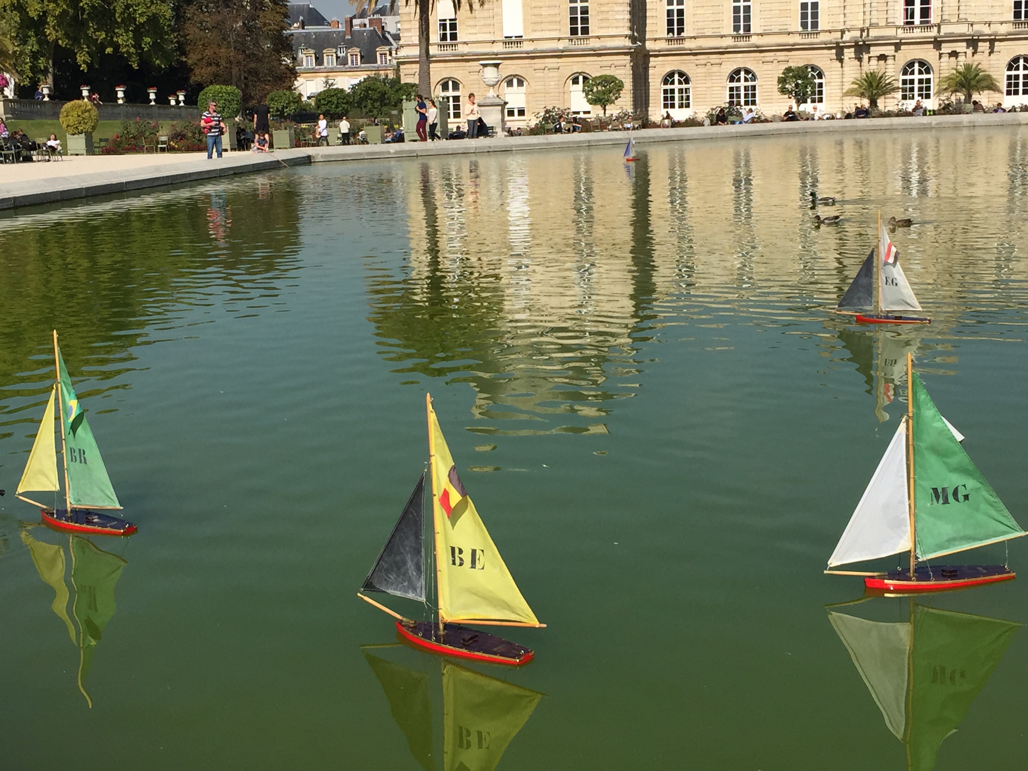 Little sail boats