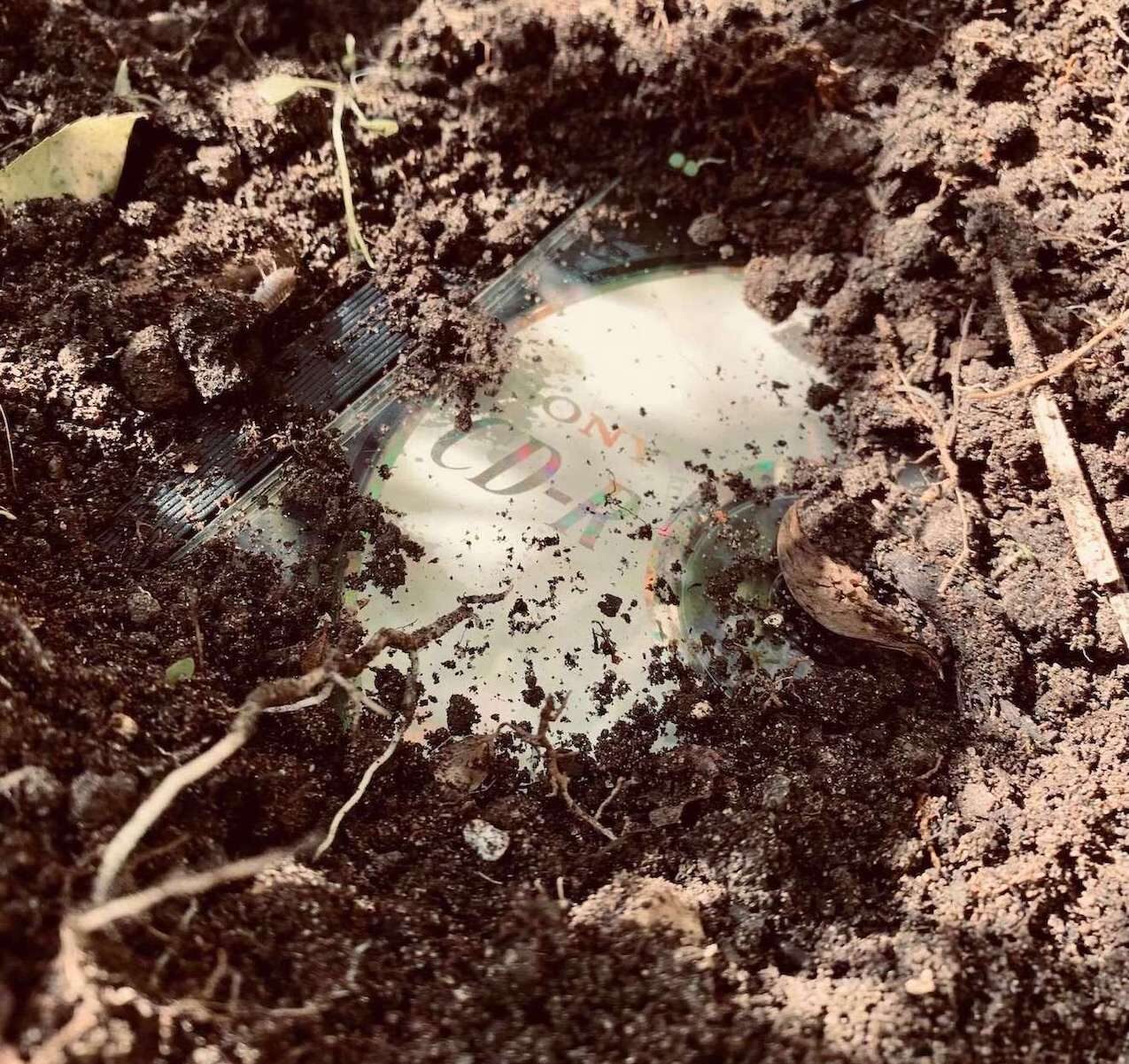 An image of a CD-R in a jewel case having been uncovered in a patch of soil, to illustrate the strange locations I'v discovered music to add to my playlist. Photo by Nicholas Blackmore