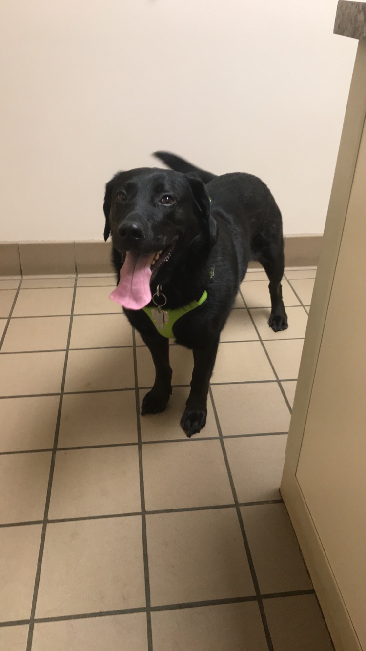 Patient photo gallery