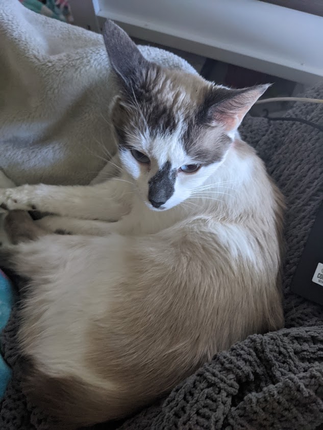 Patient photo gallery