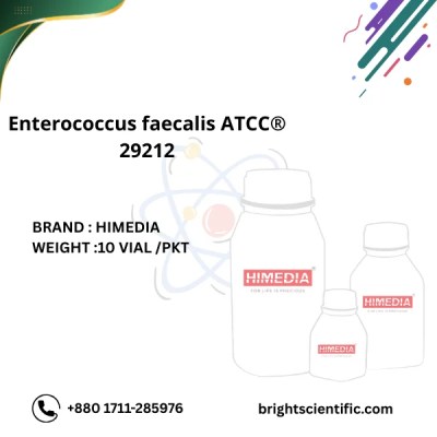Enterococcus faecalis ATCC® 29212