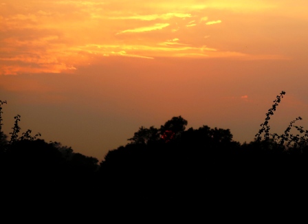 compressed-for-blog-sunset