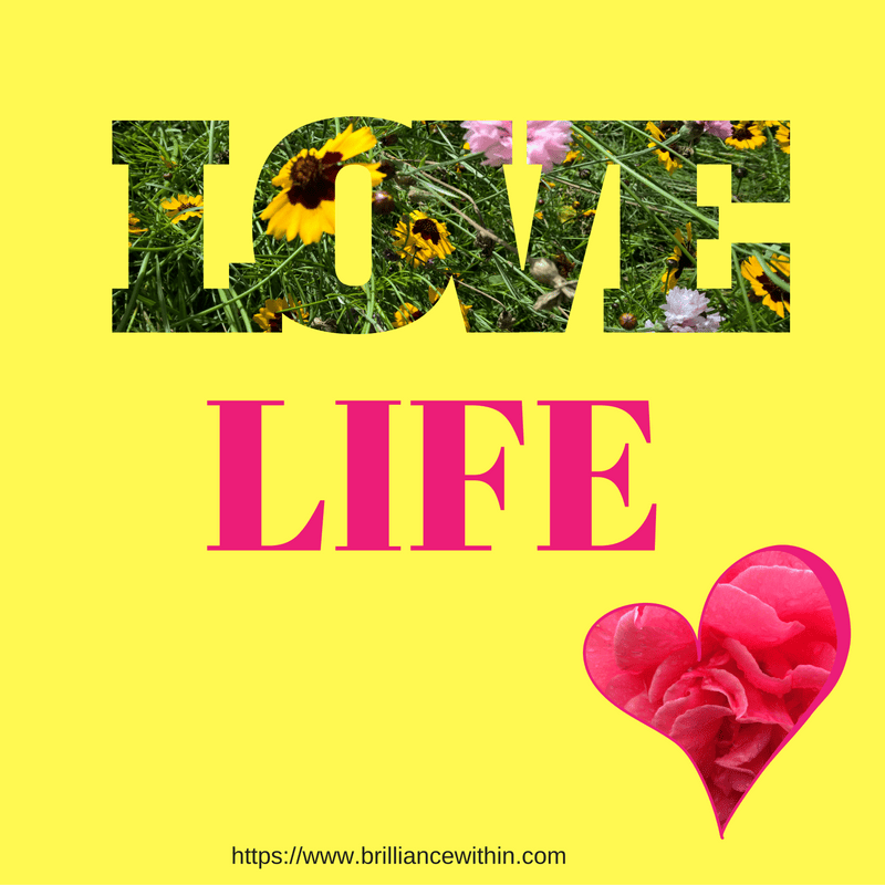 love-life-2