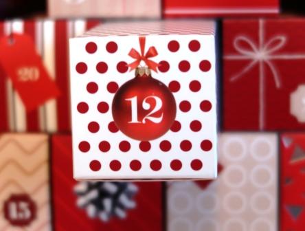 Xmas Giveaway -Day 12