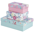 Sainsbury box