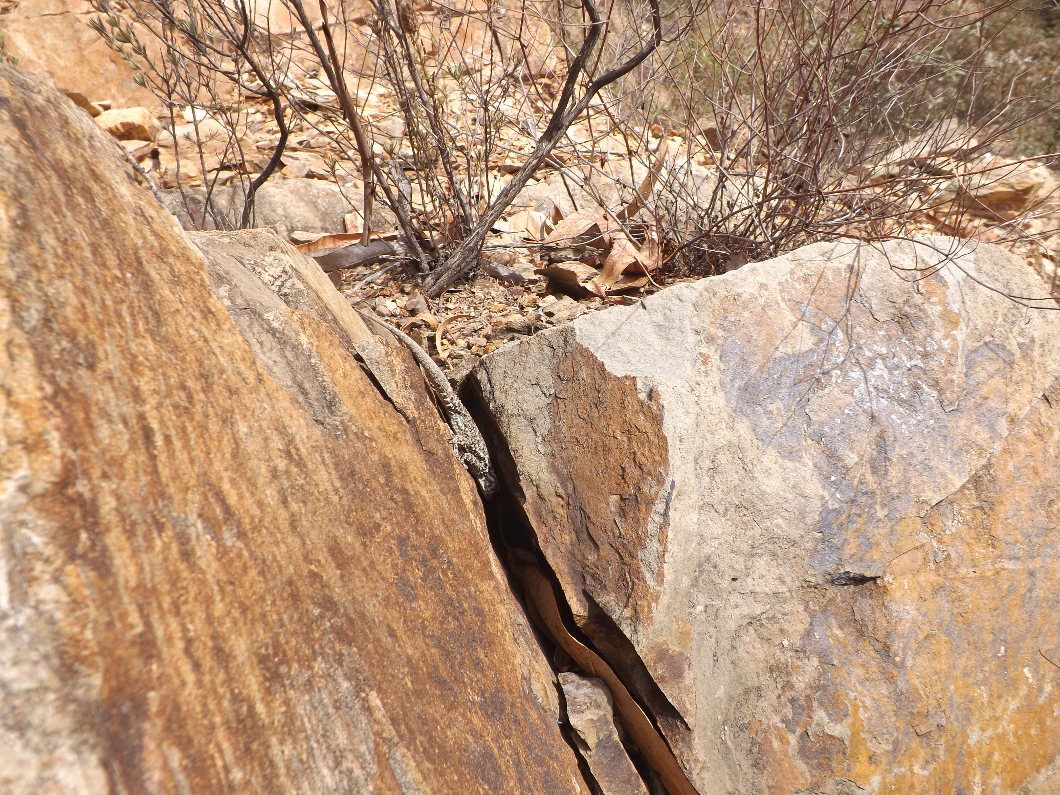 Finalmente de novo em liberdade...