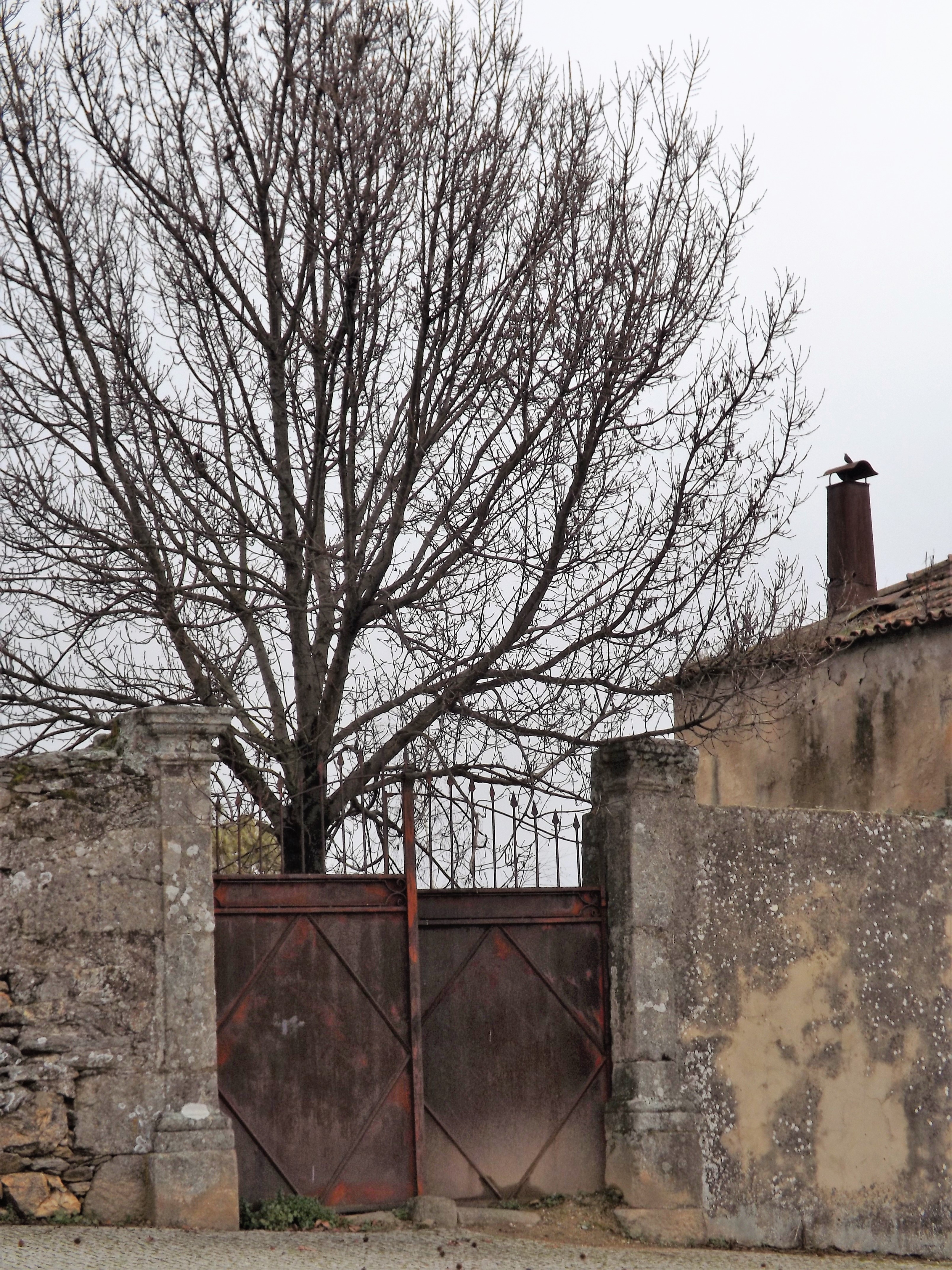 Reparem na chaminé!