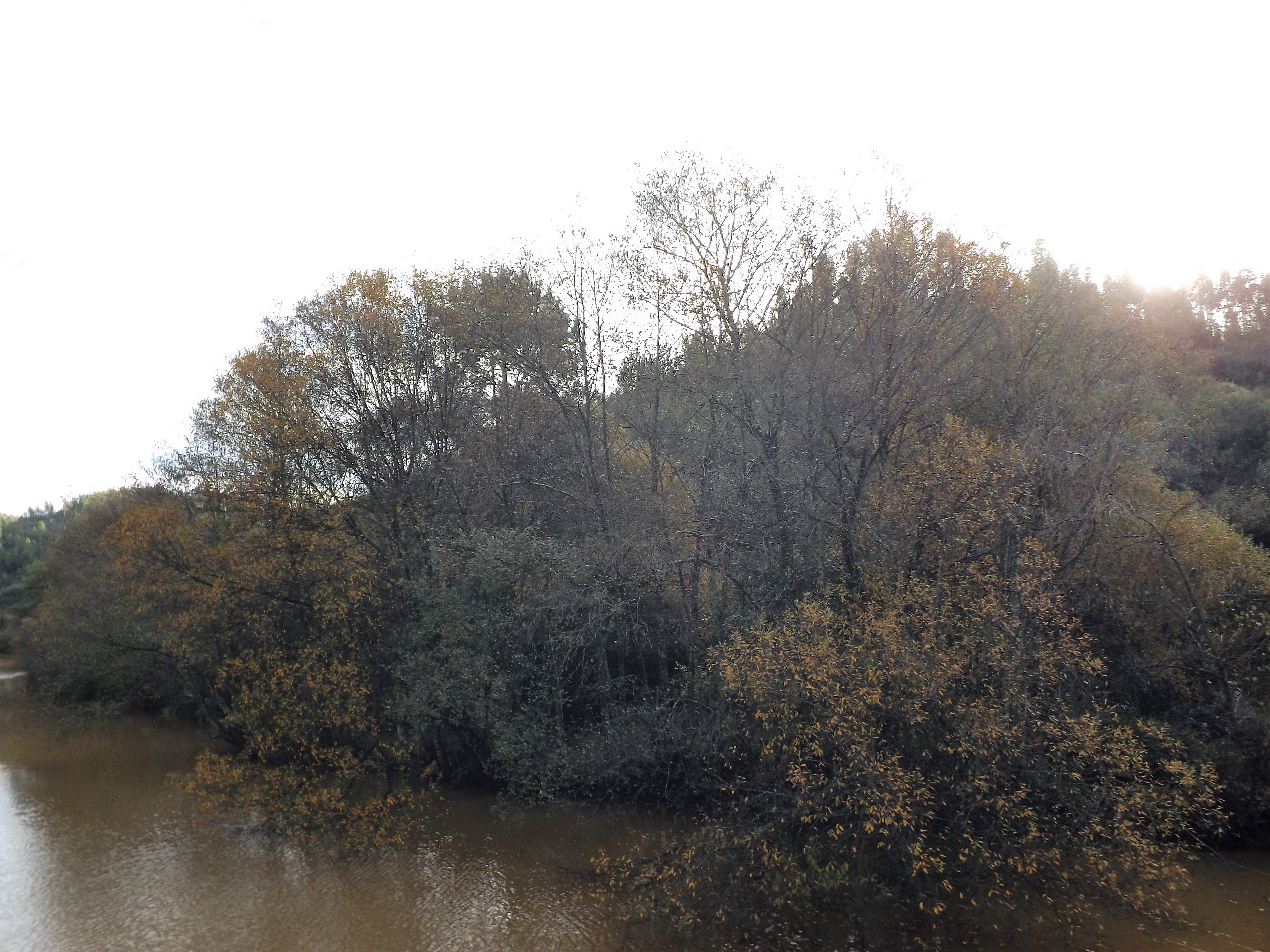 Local onde o soltei.