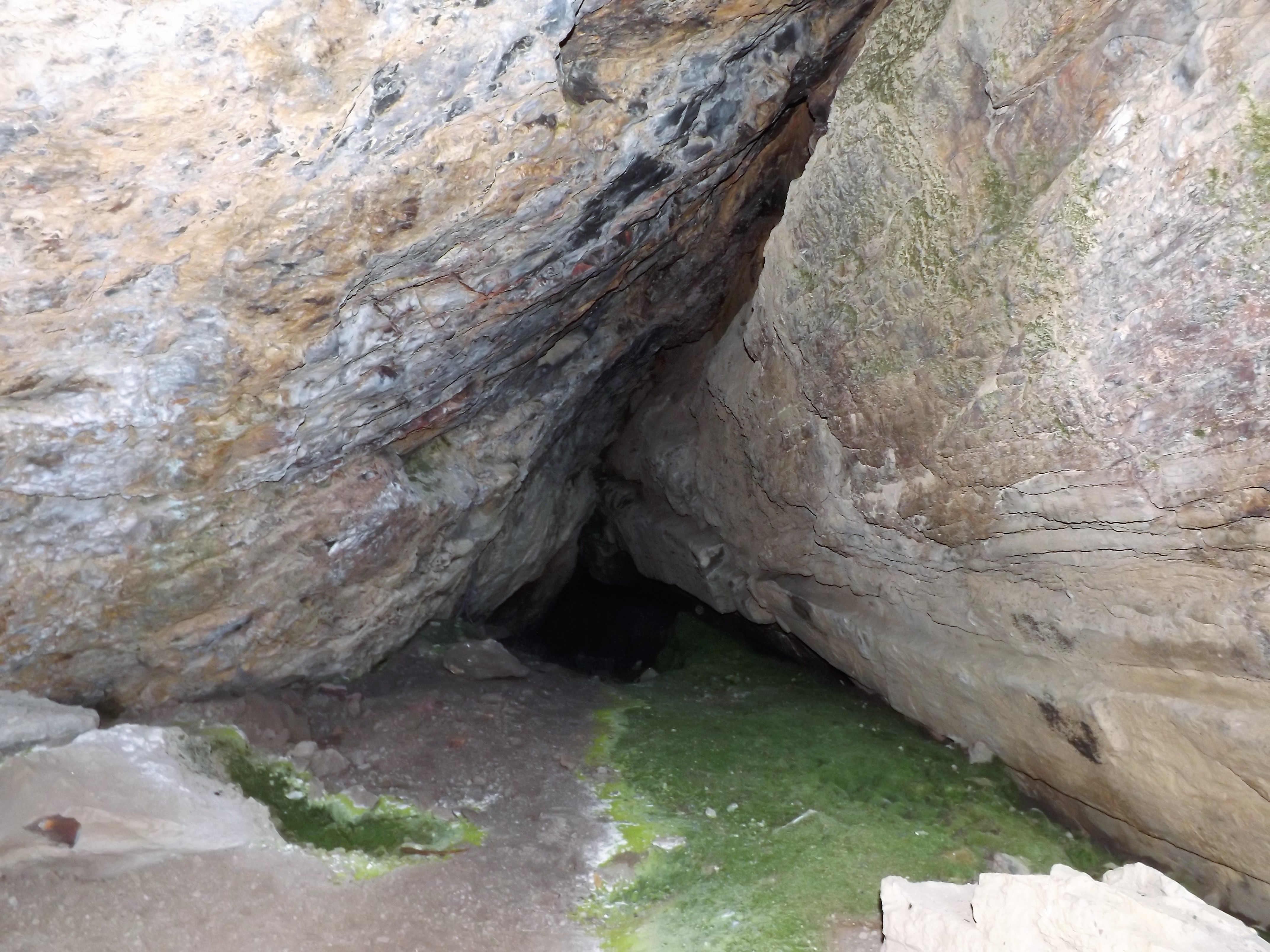 Em certas partes no chão cresce musgo, andando mais para a frente vai afunilando.