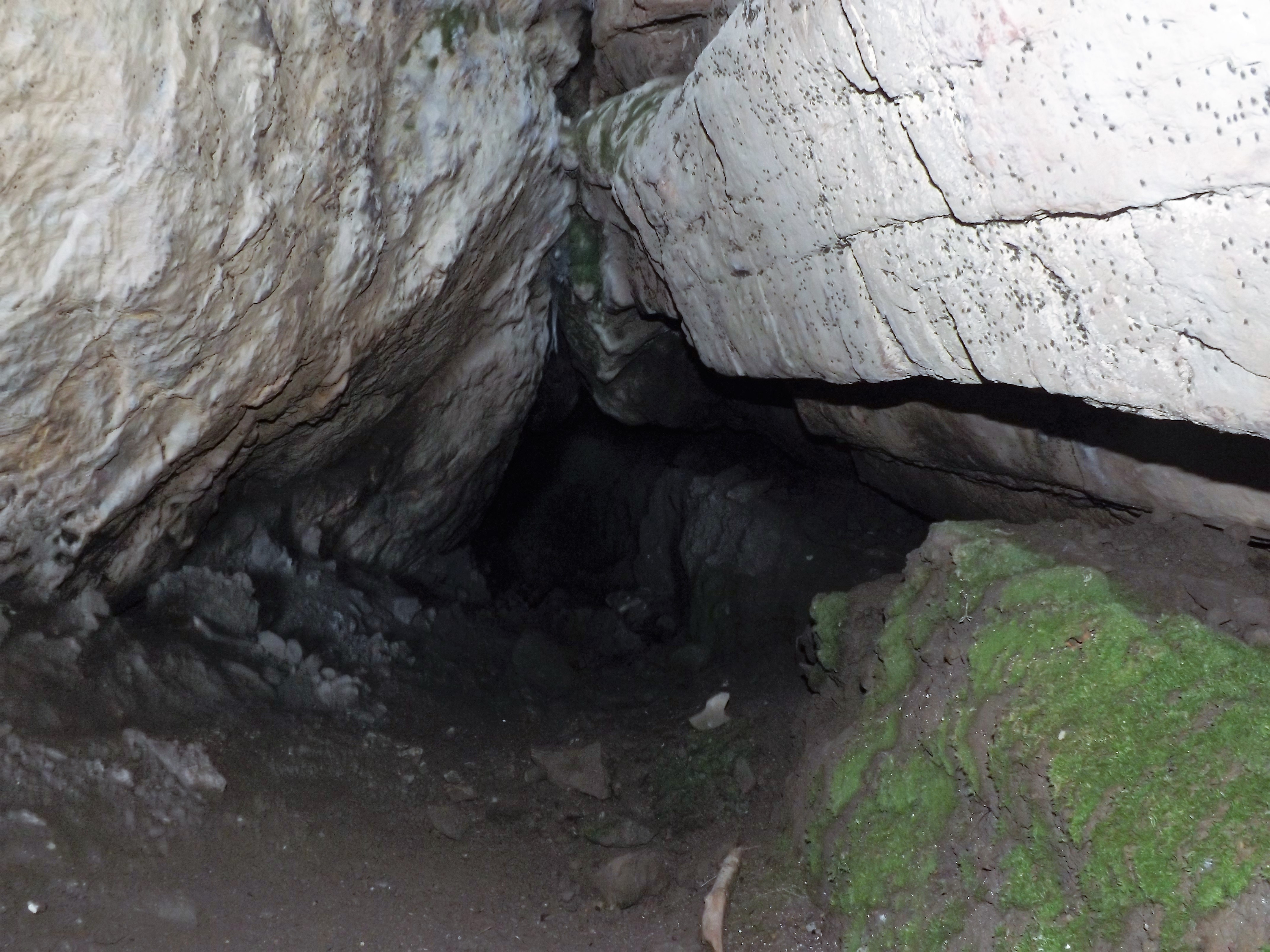Mais para a frente não chego a fim deste abrigo, pois além de não ter uma lanterna existem muitos mosquitos.