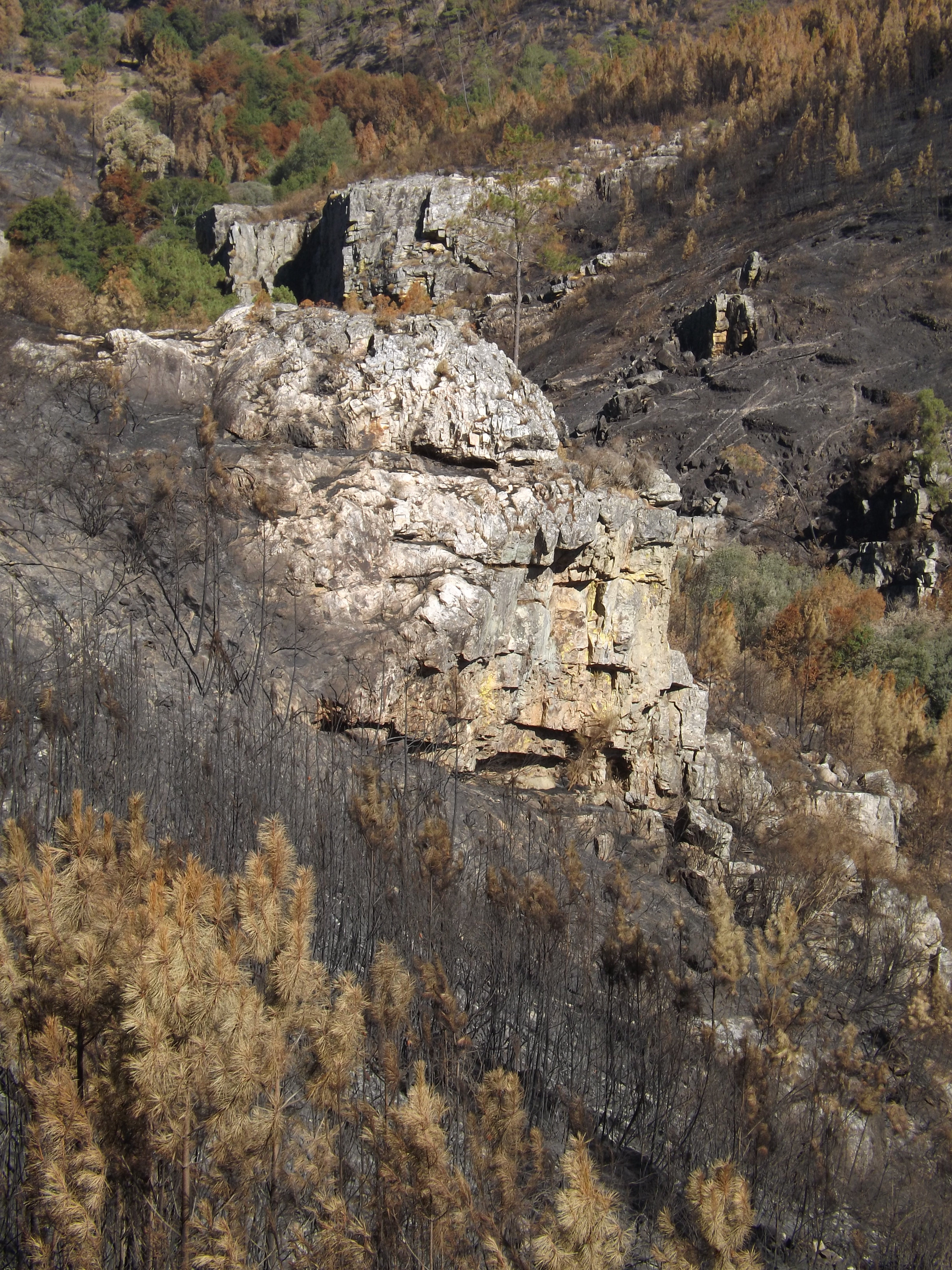 Afloramentos rochosos