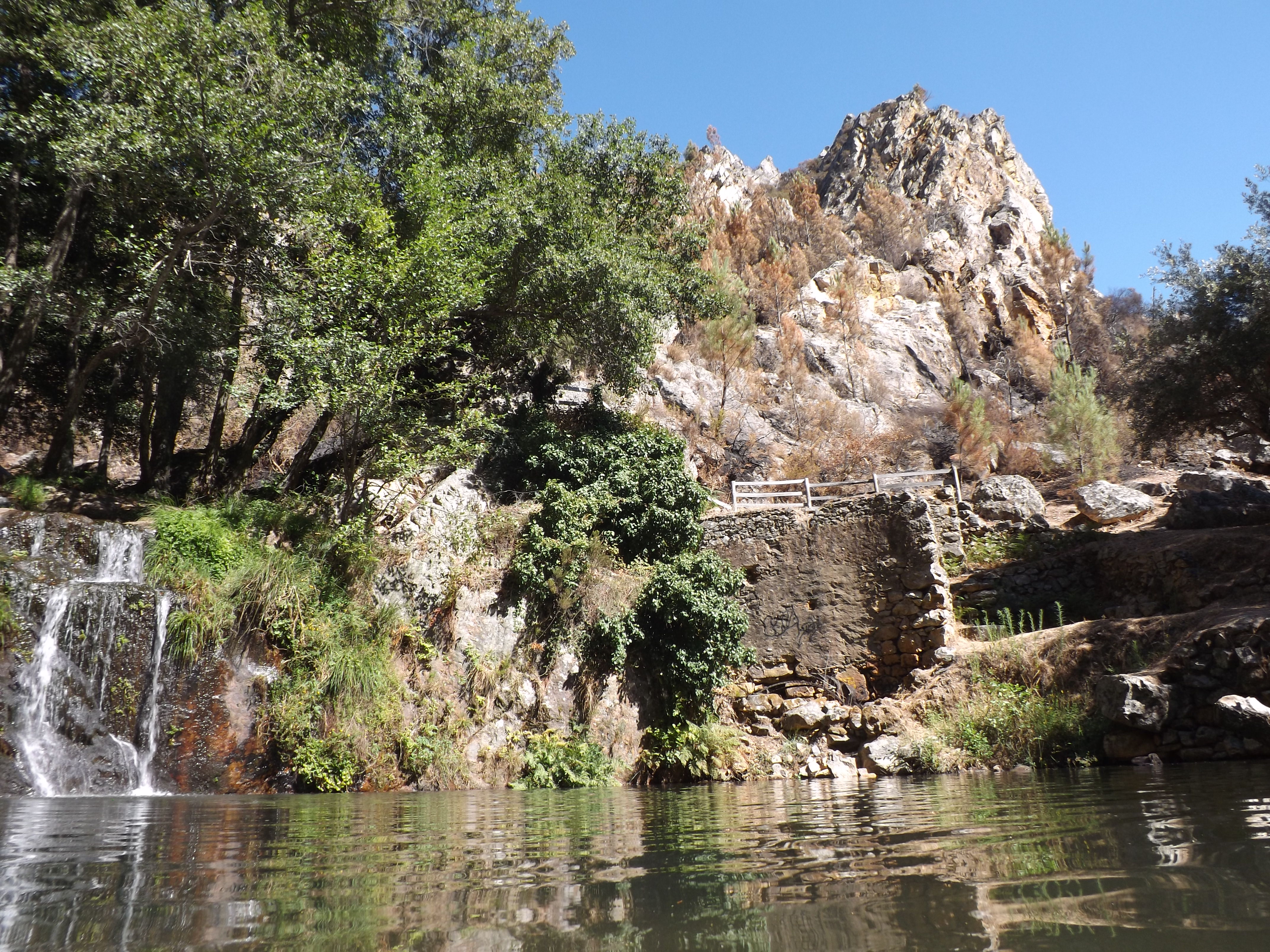 Lá no alto o reduto dos grifos.