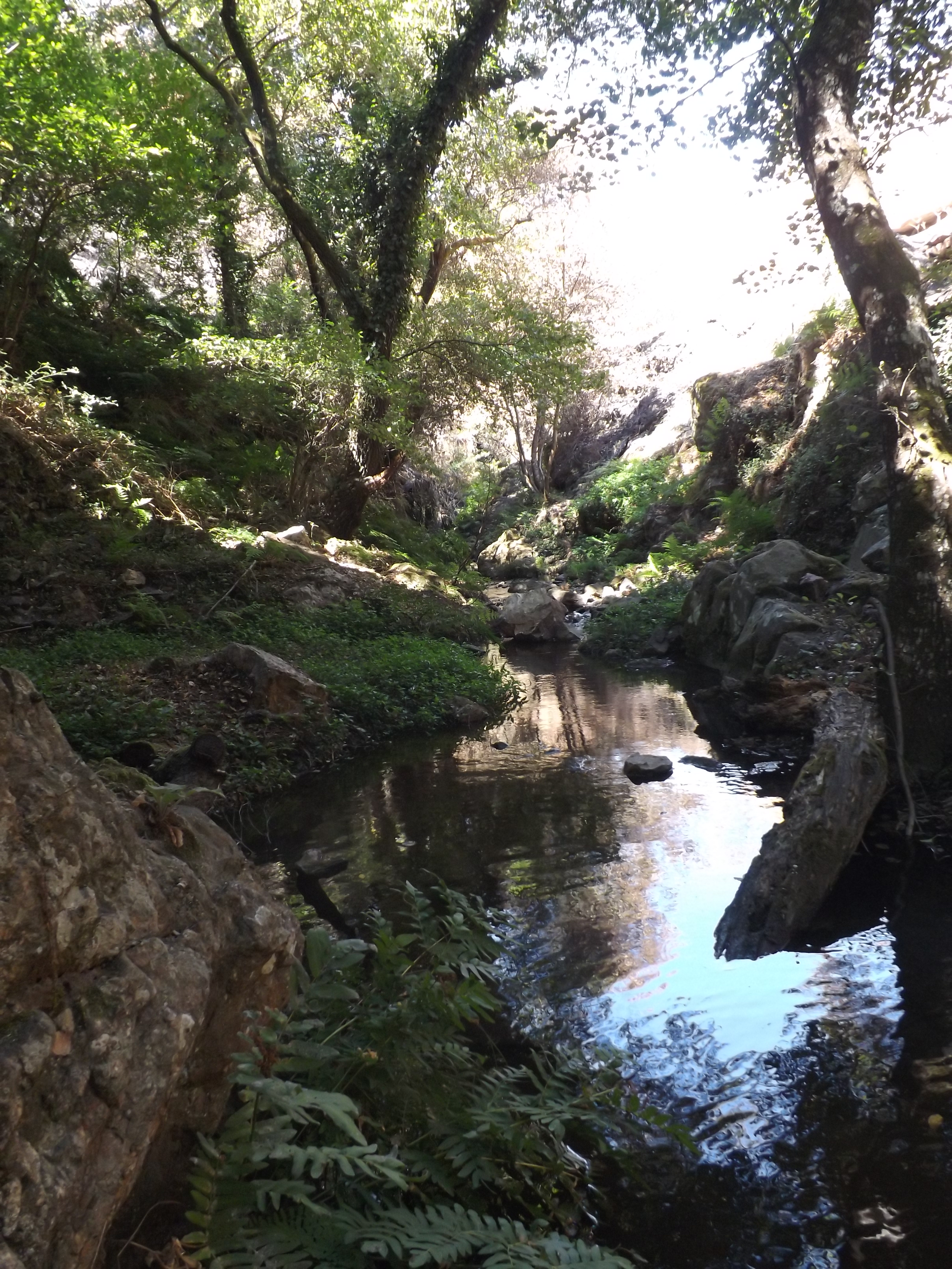 Uma zona fresca com muita biodiversidade.