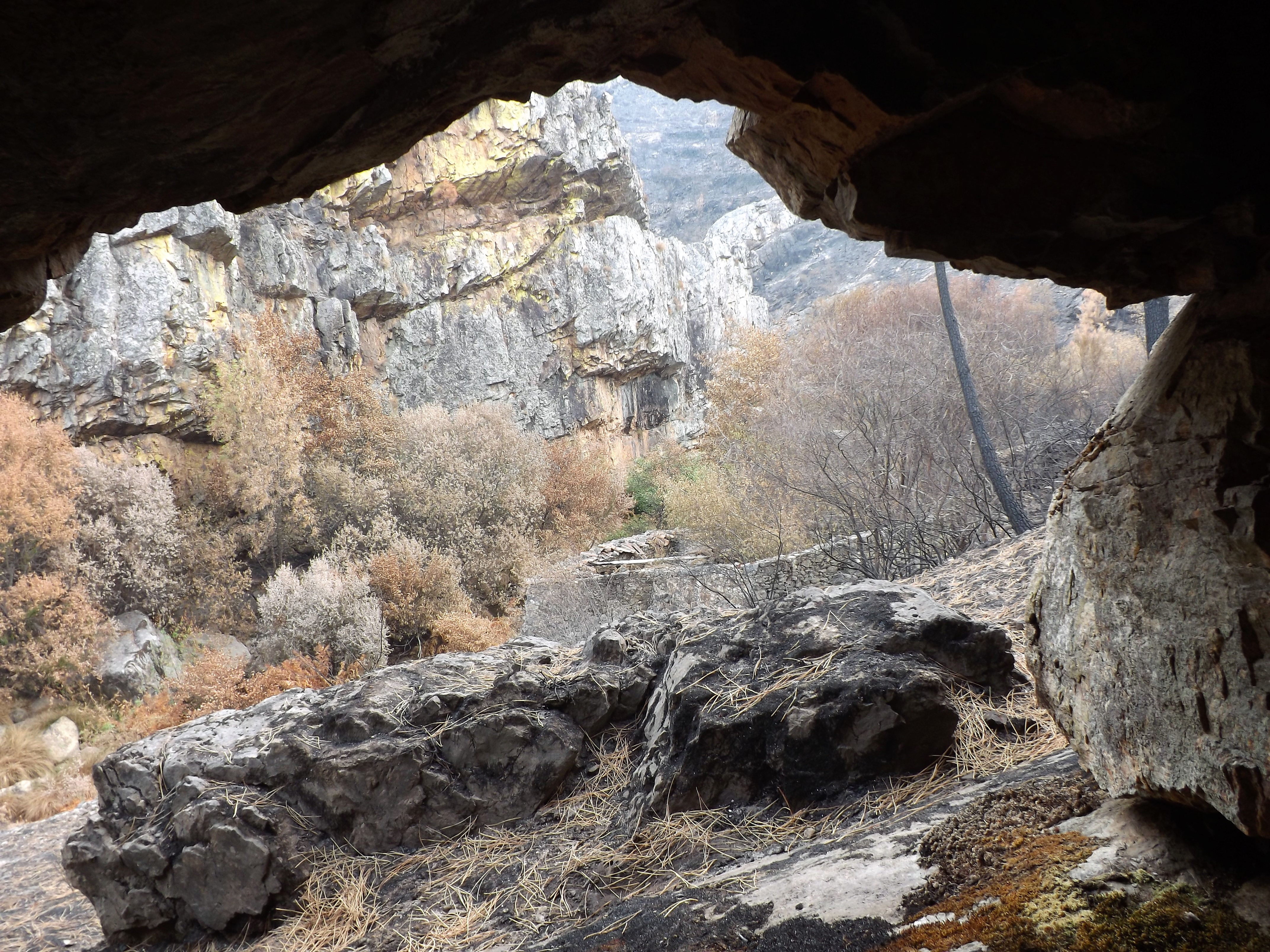 Vista de dentro deste abrigo.