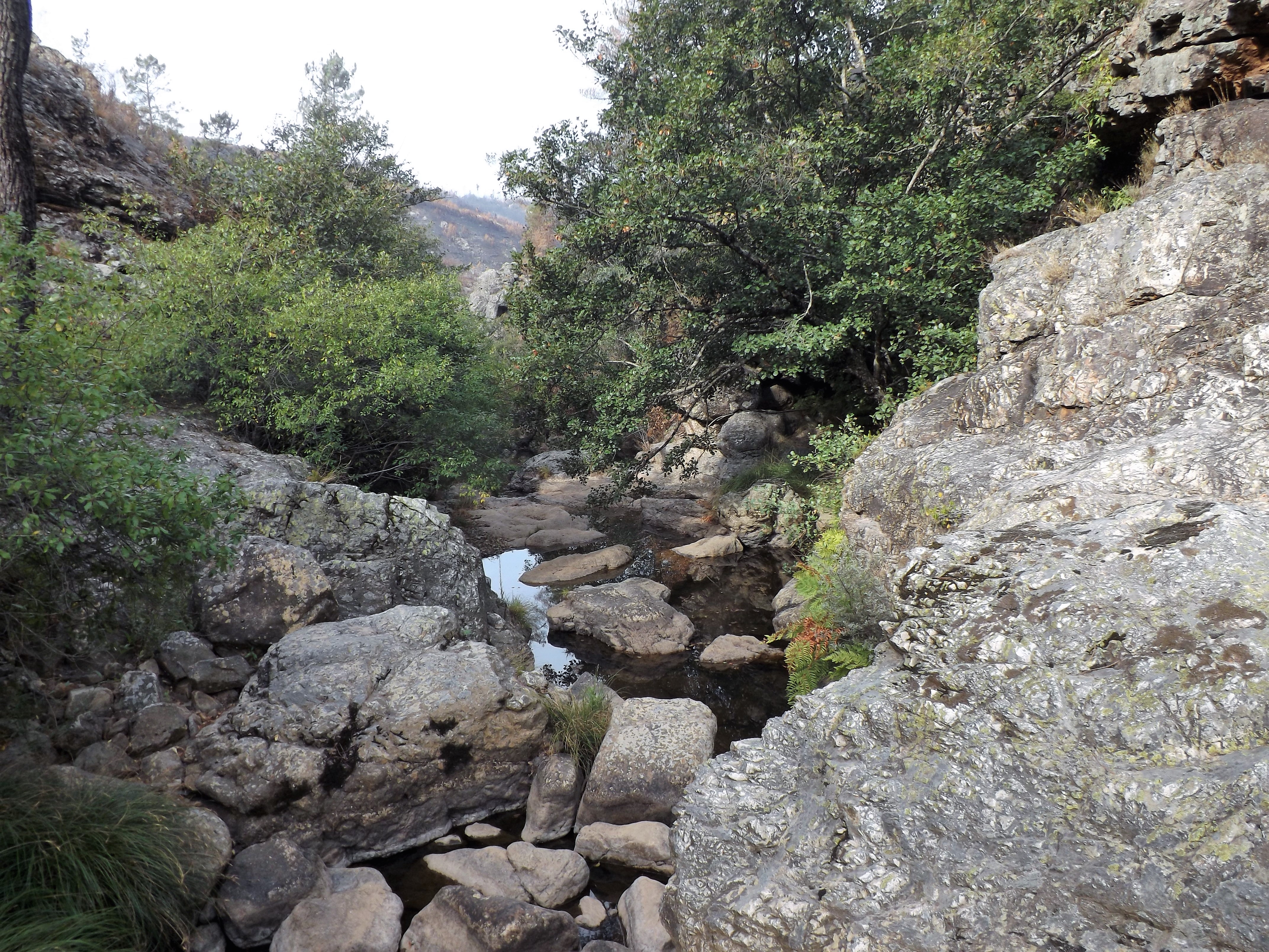 Apesar de tudo em volta estar em cinzas, neste vale ainda é possível encontrar paisagens de grande beleza.
