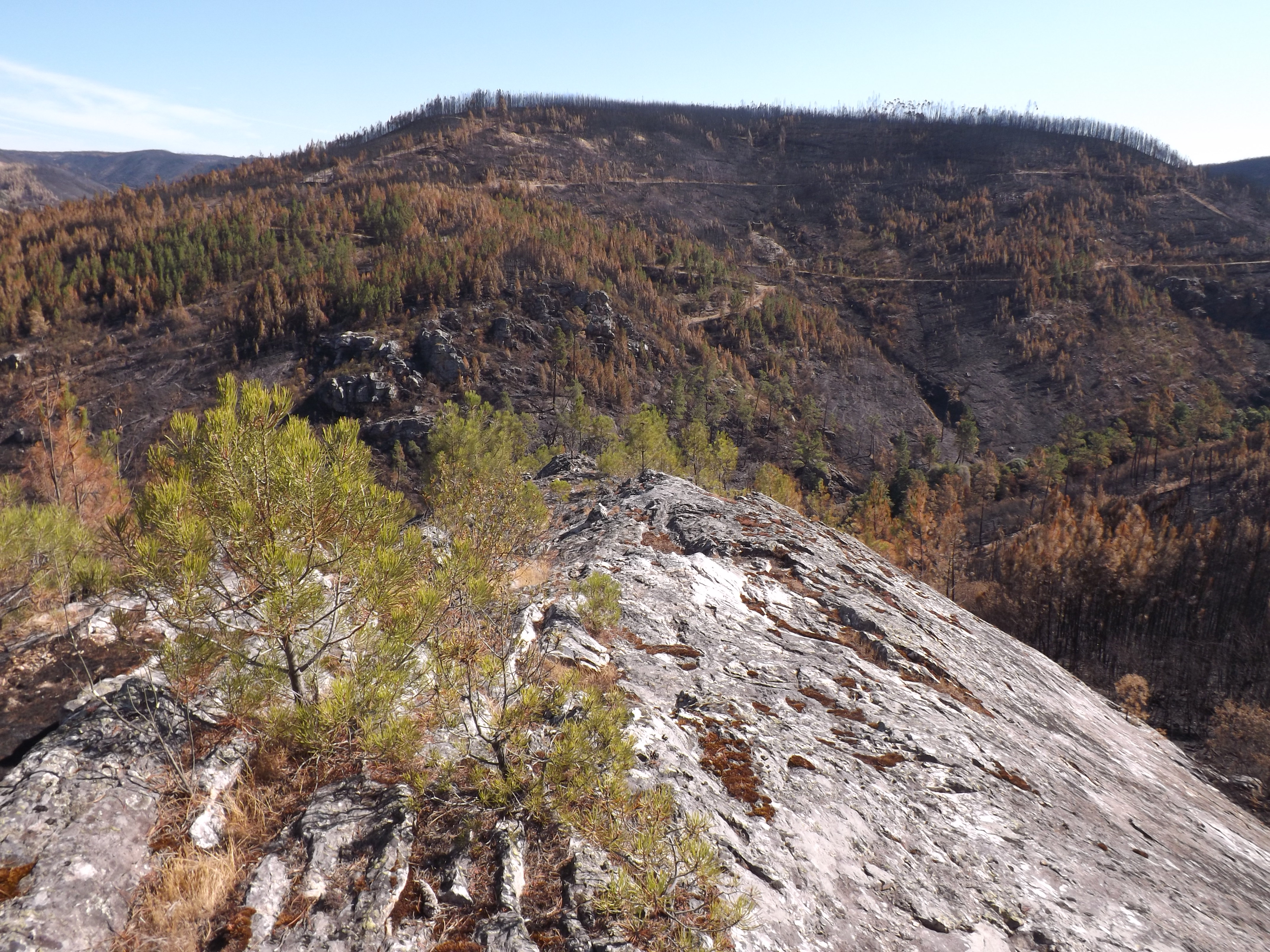 Penedos magníficos não?!