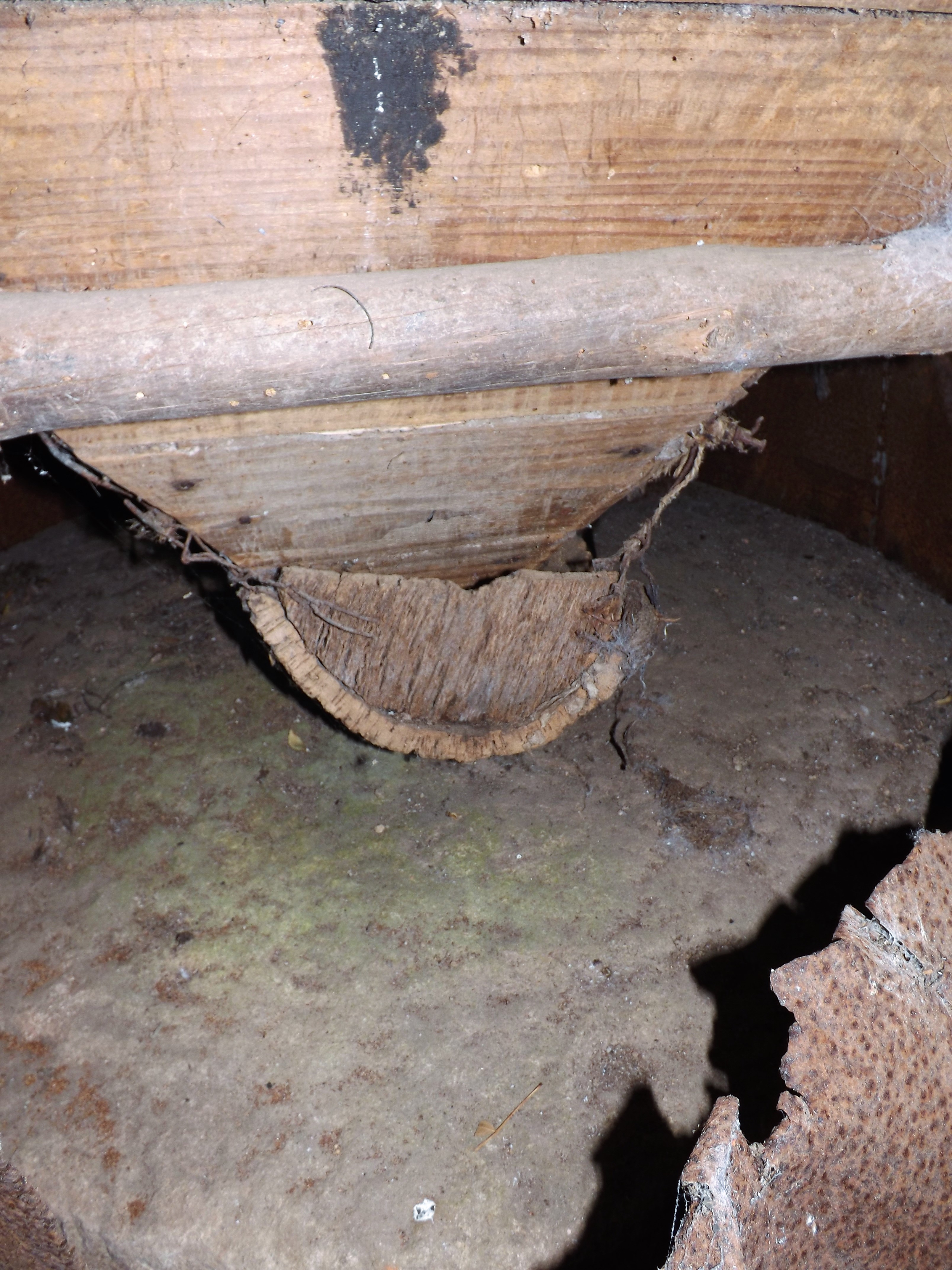 Resistindo ao passar dos anos....