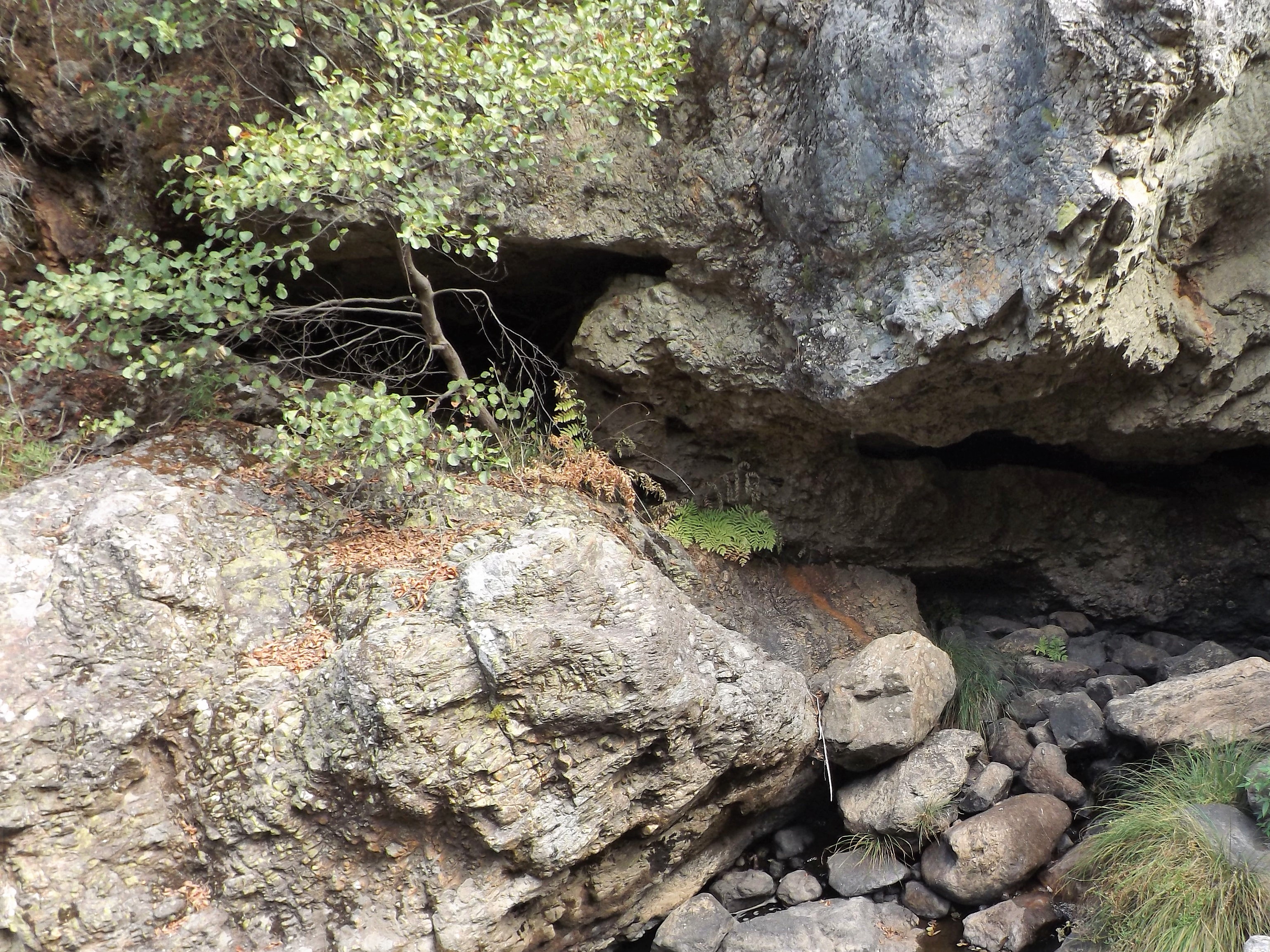 Como podem ver as cavernas são muito comuns neste tipo de paisagem. Por detrás daquele pequeno amieiro, um bom refúgio em caso de chuva que por esta altura escasseia.