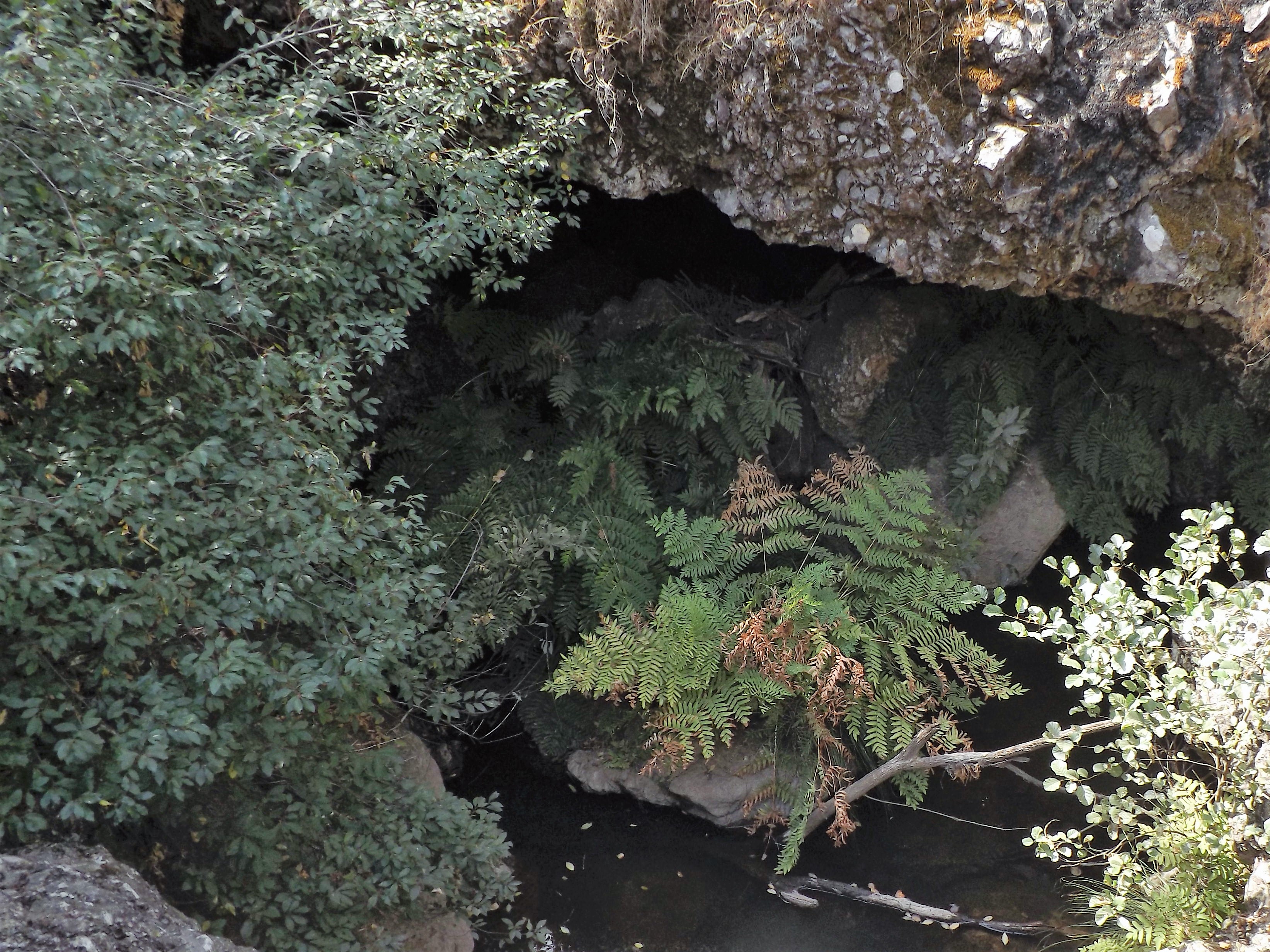 E por ali é o caminho...