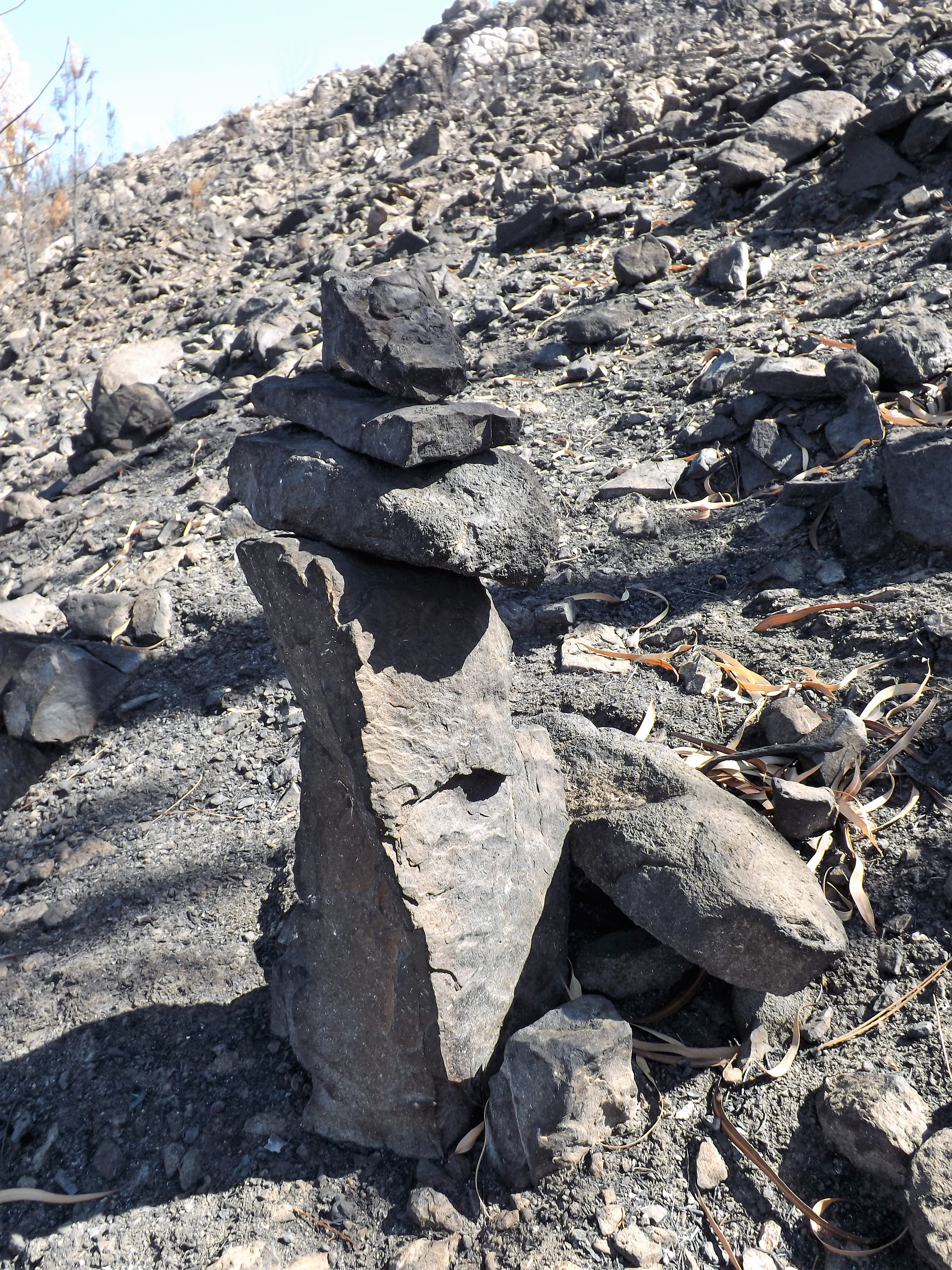 Ao fim da caminhada encontrei vestígios de um trilho, este marcado por uma “mariola”, em tempos eram mais usadas, hoje com as novas tecnologias nem tanto. Estes pequenos conjuntos de pedras sobrepostas em cima umas das outras servia para marcar caminho no meio do campo. Normalmente de uma “mariola”, avistamos a anterior e a seguinte...