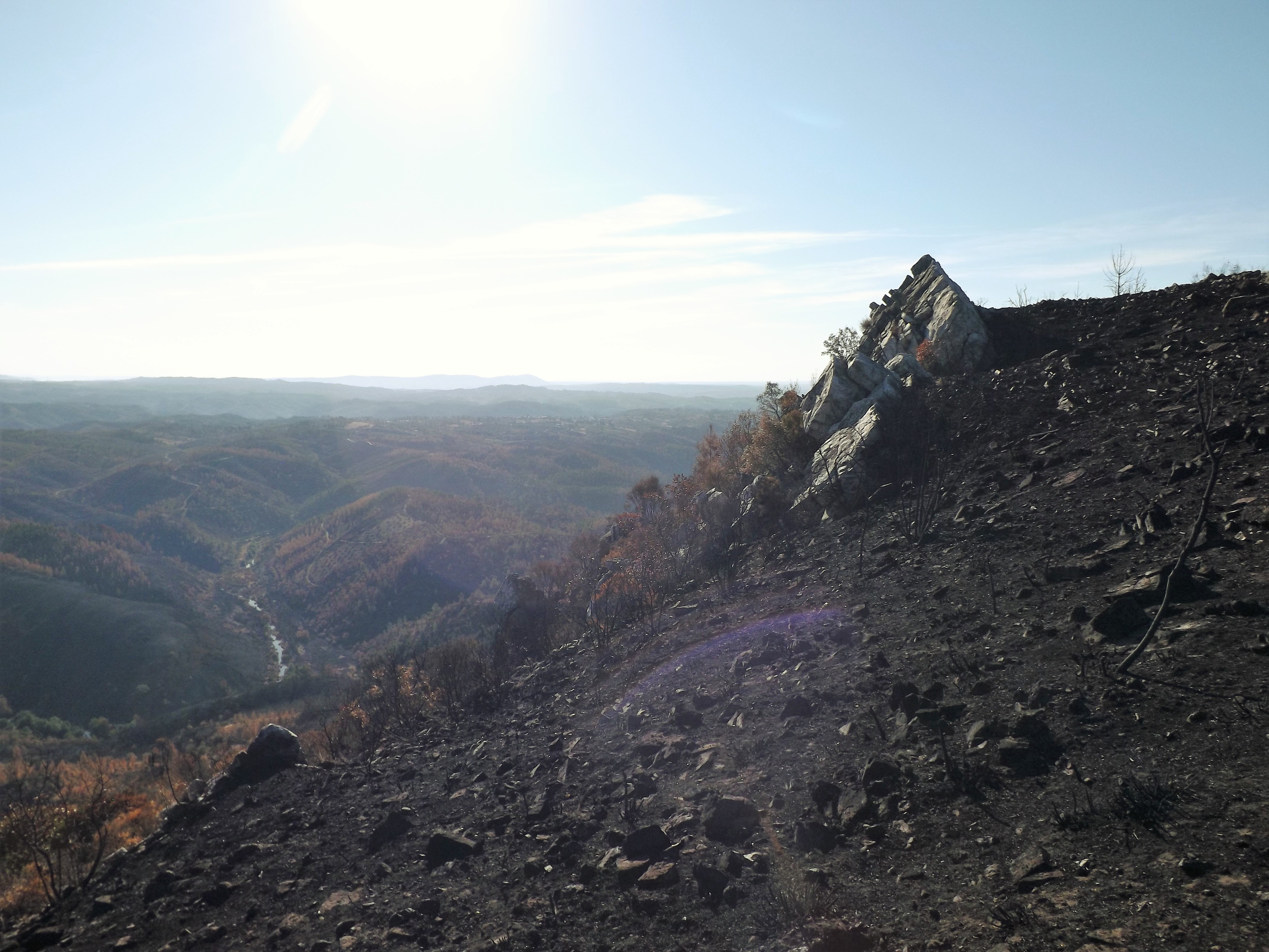 Depois do fogo a paisagem está desoladora.