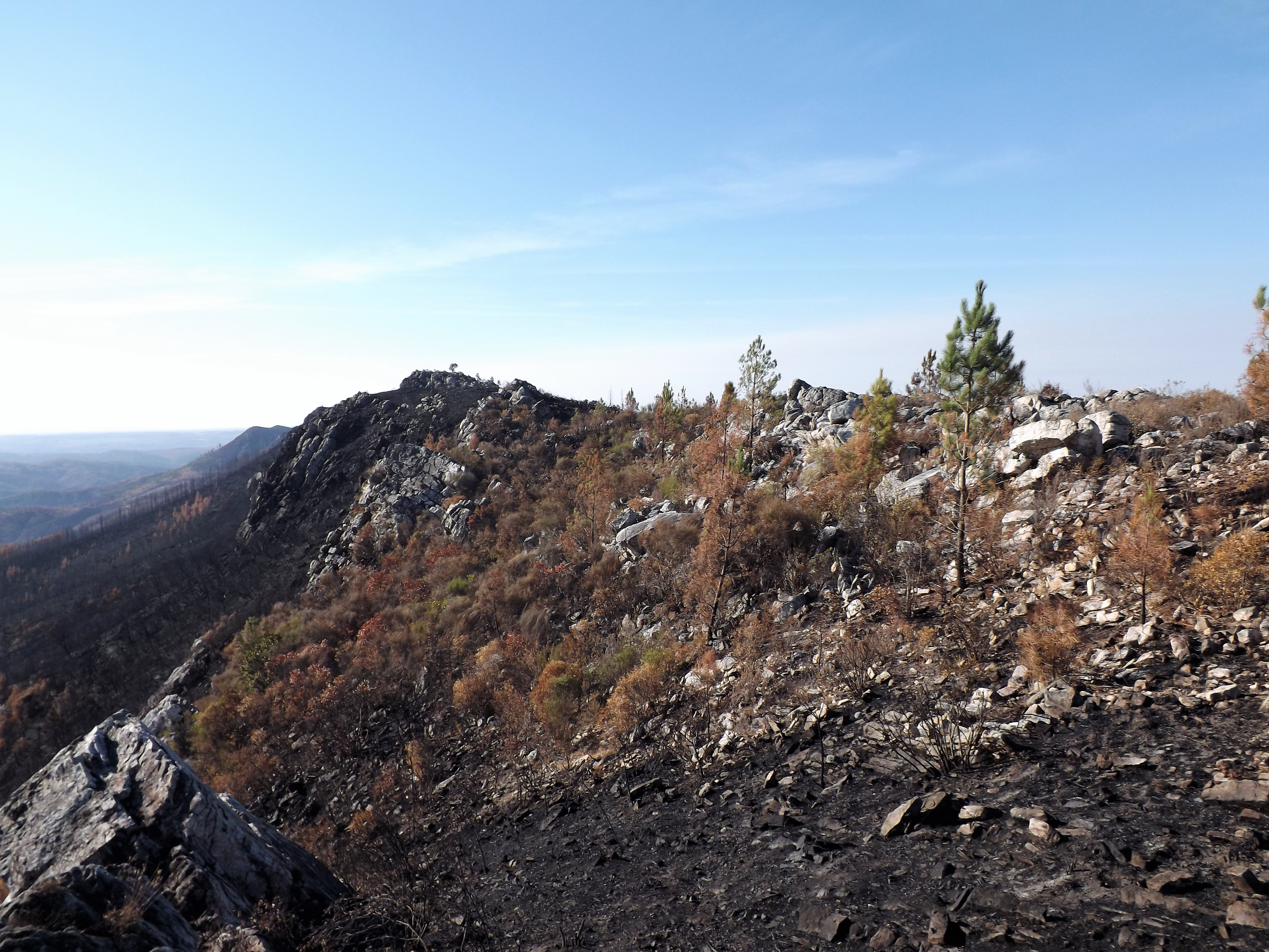 Por esta serra fora a Buraca da Moura podia estar em qualquer penedo. Há que procurar...