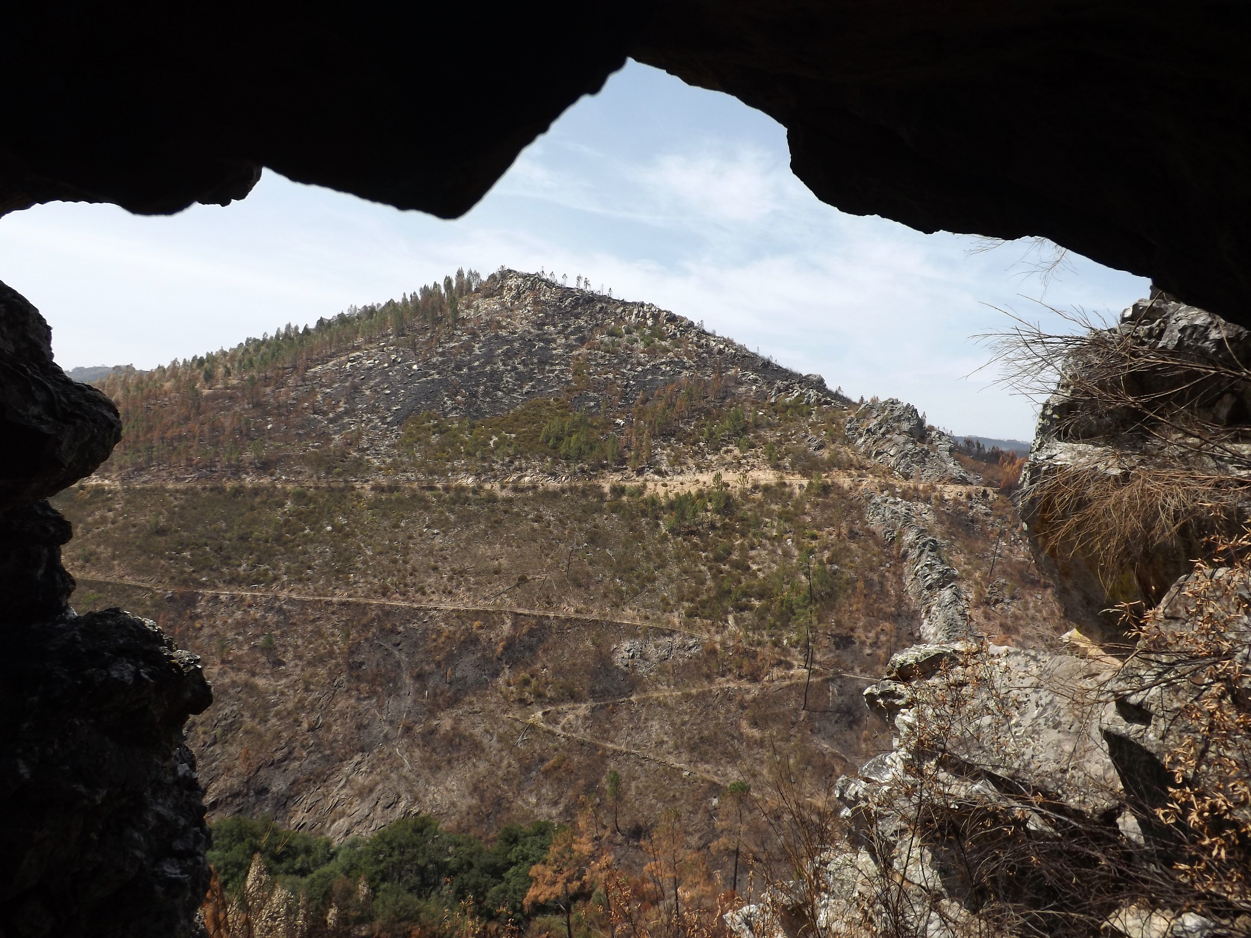 A imensa vista para o vale... Um bom poiso para detectar a caça...