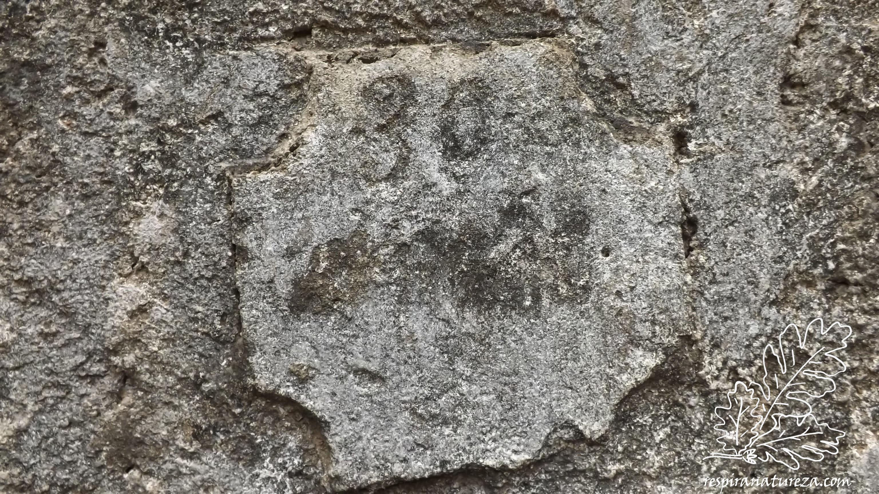 Numa parede está um “escrito” que não consigo decifrar.