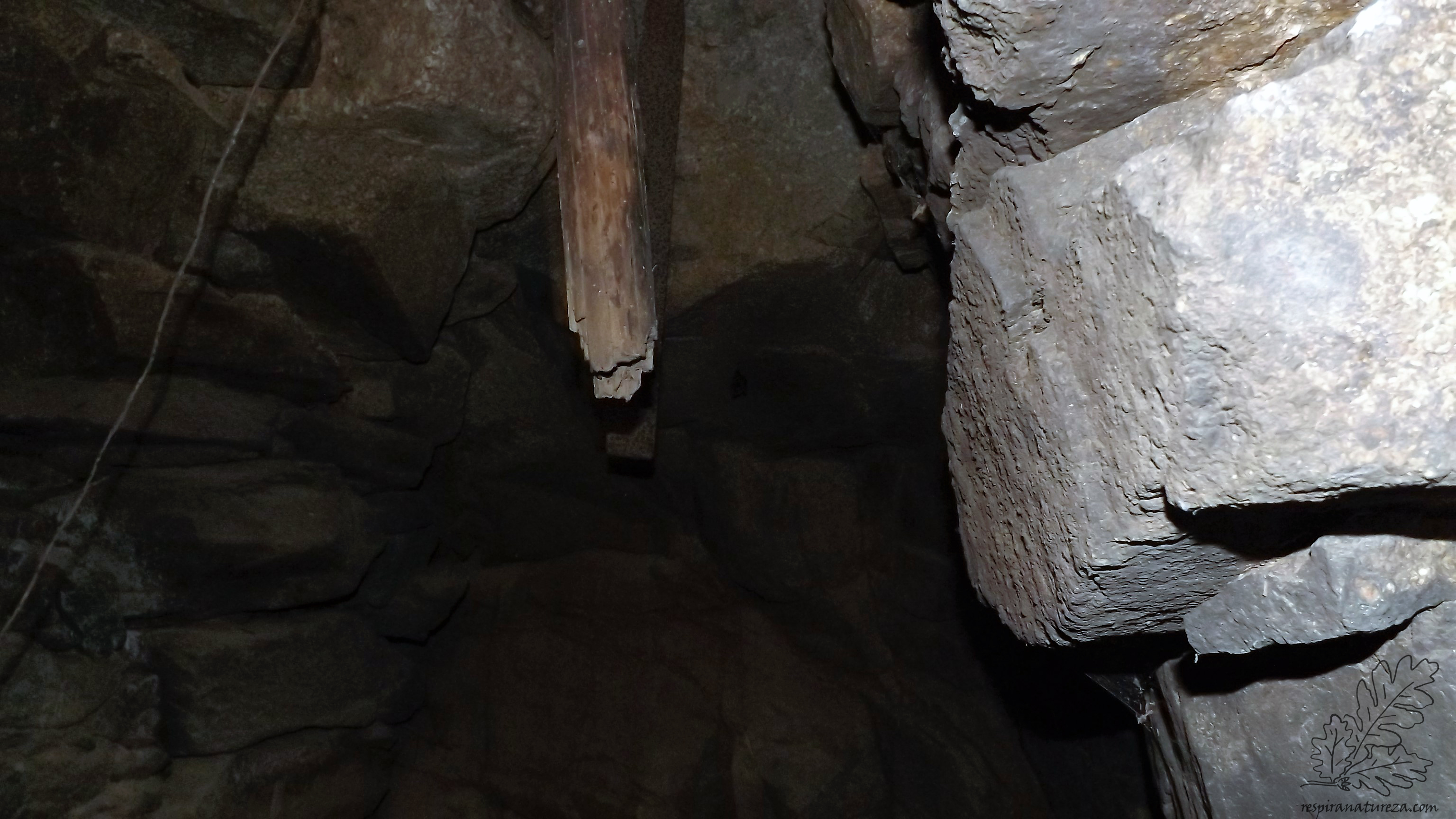 E na cave desta azenha lá estavam os morcegos no escuro...