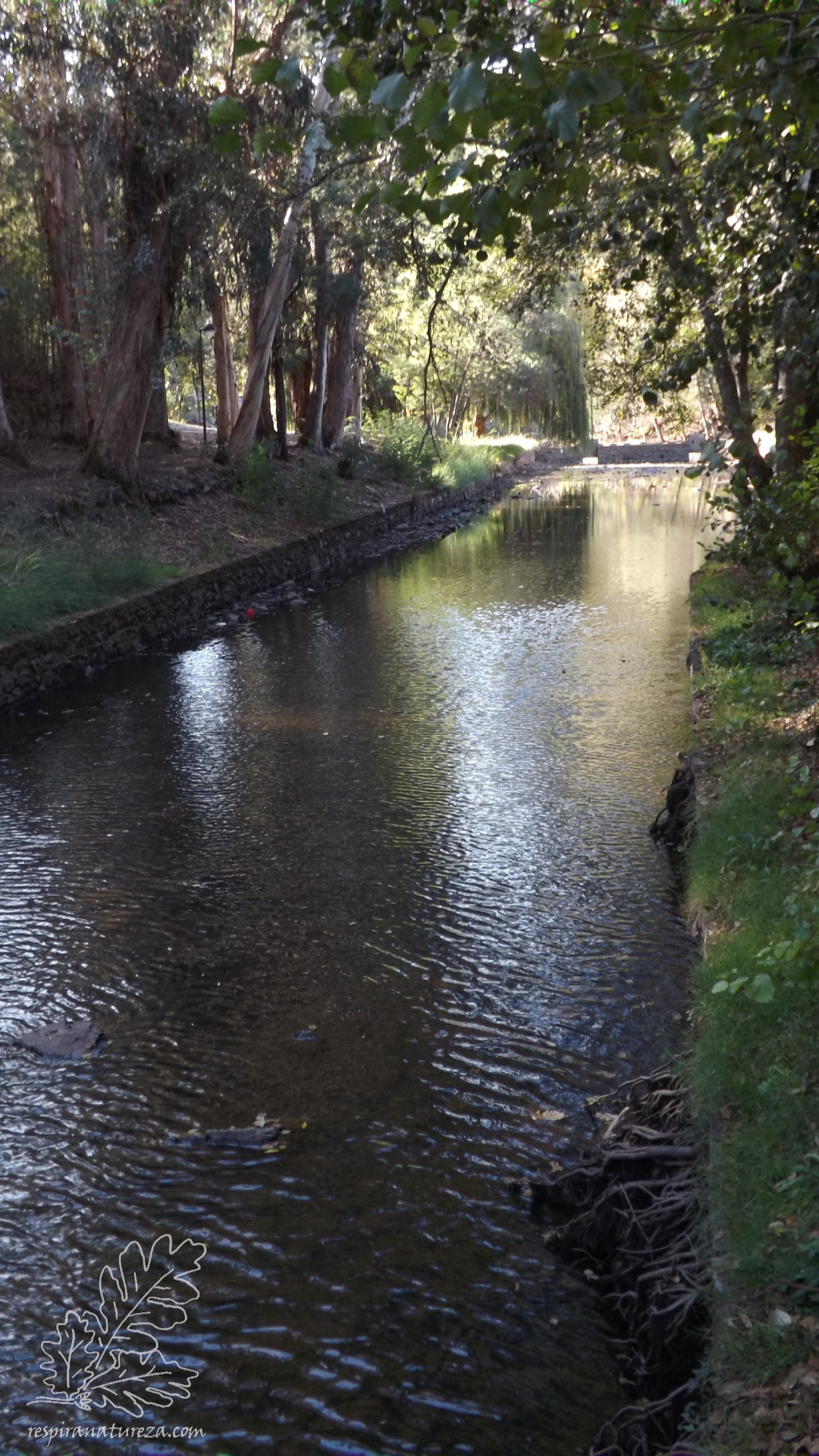 Ribeira das Sarnadas