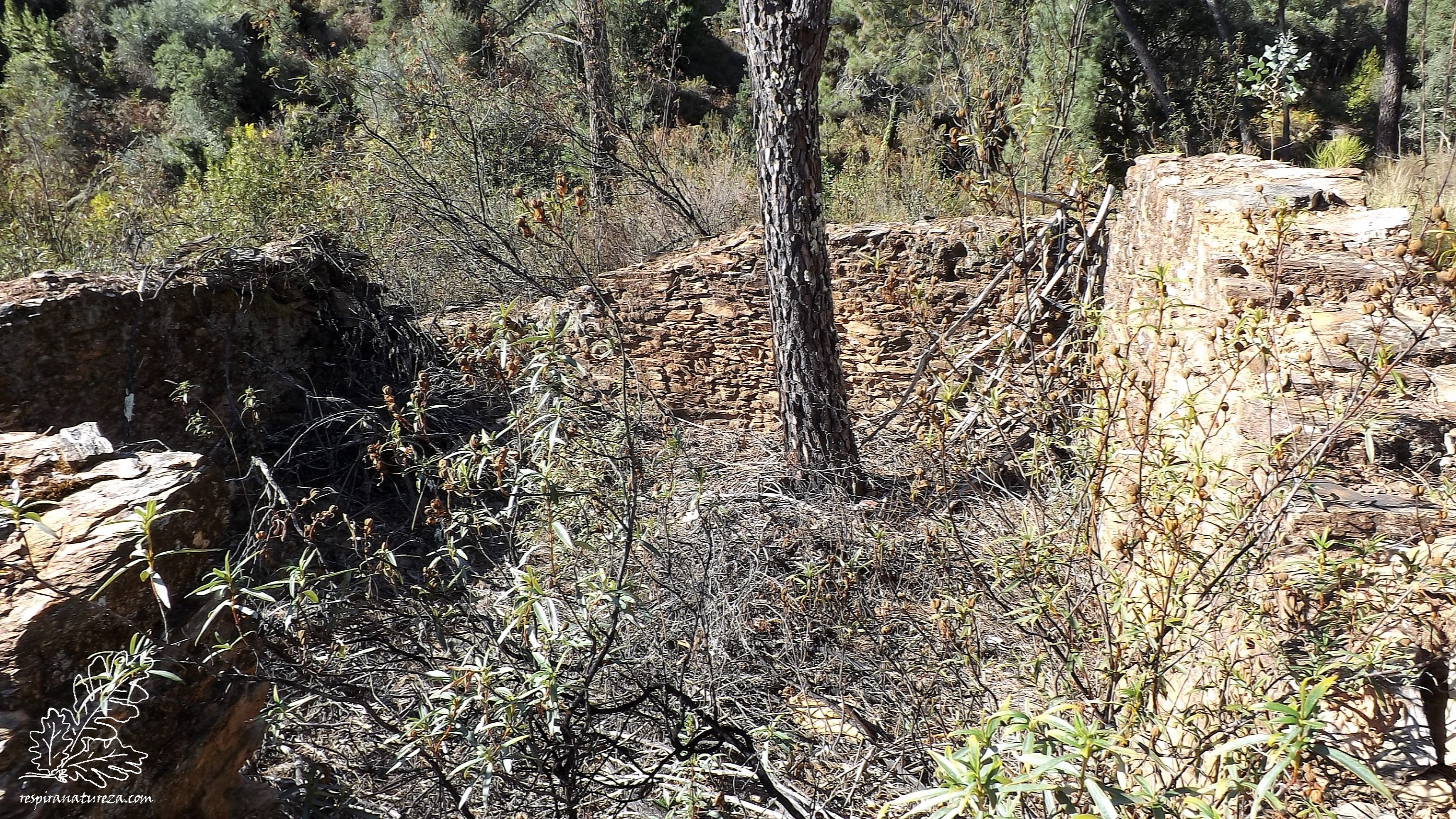 Esta "casa" ganhou um novo "inquilino".