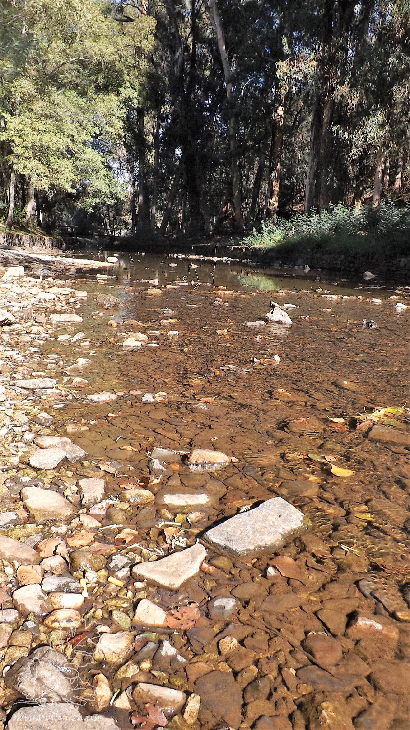 De volta ao início, e outra vez a Ribeira das Sarnadas à vista.