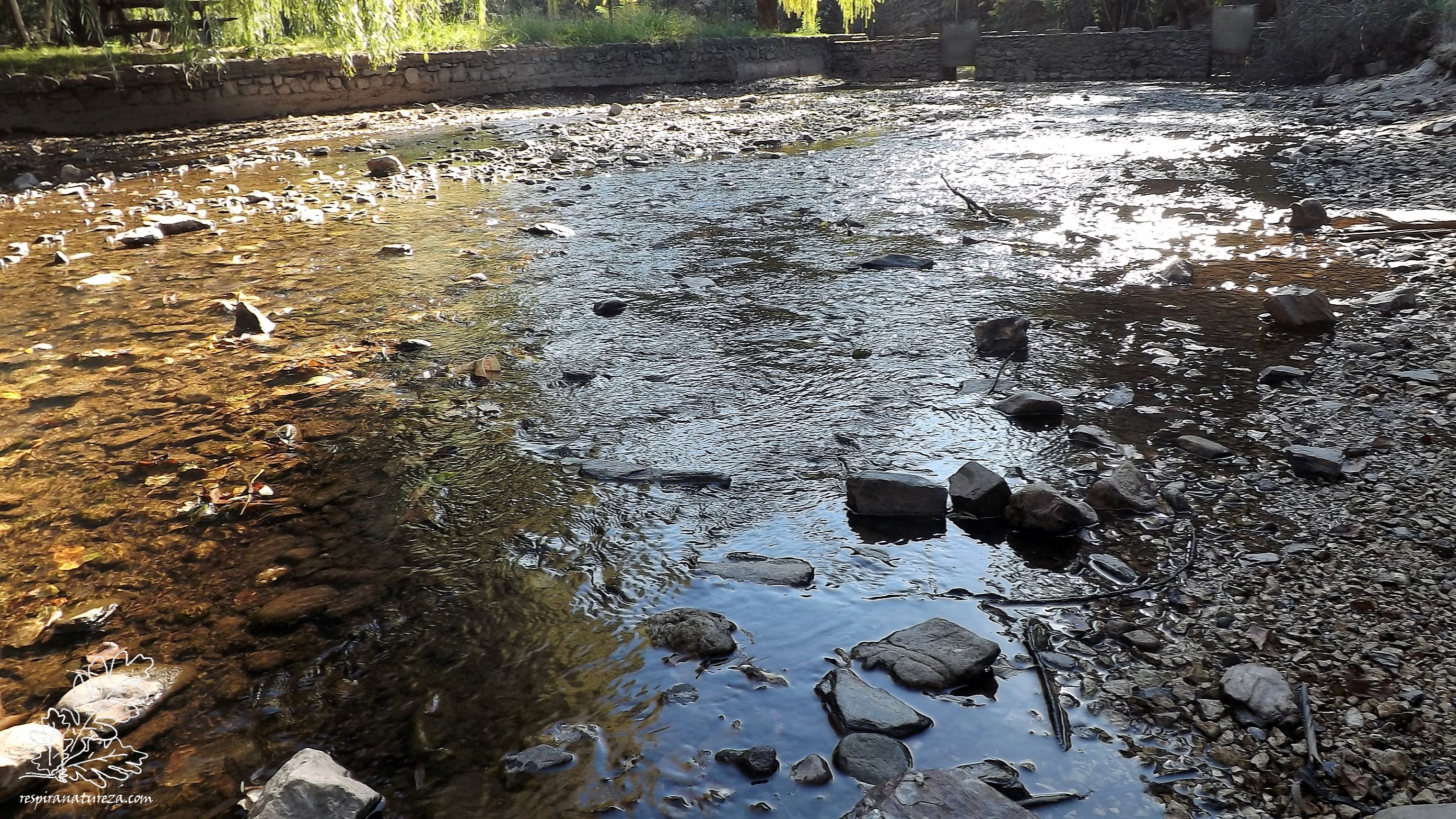Ribeira das Sarnadas