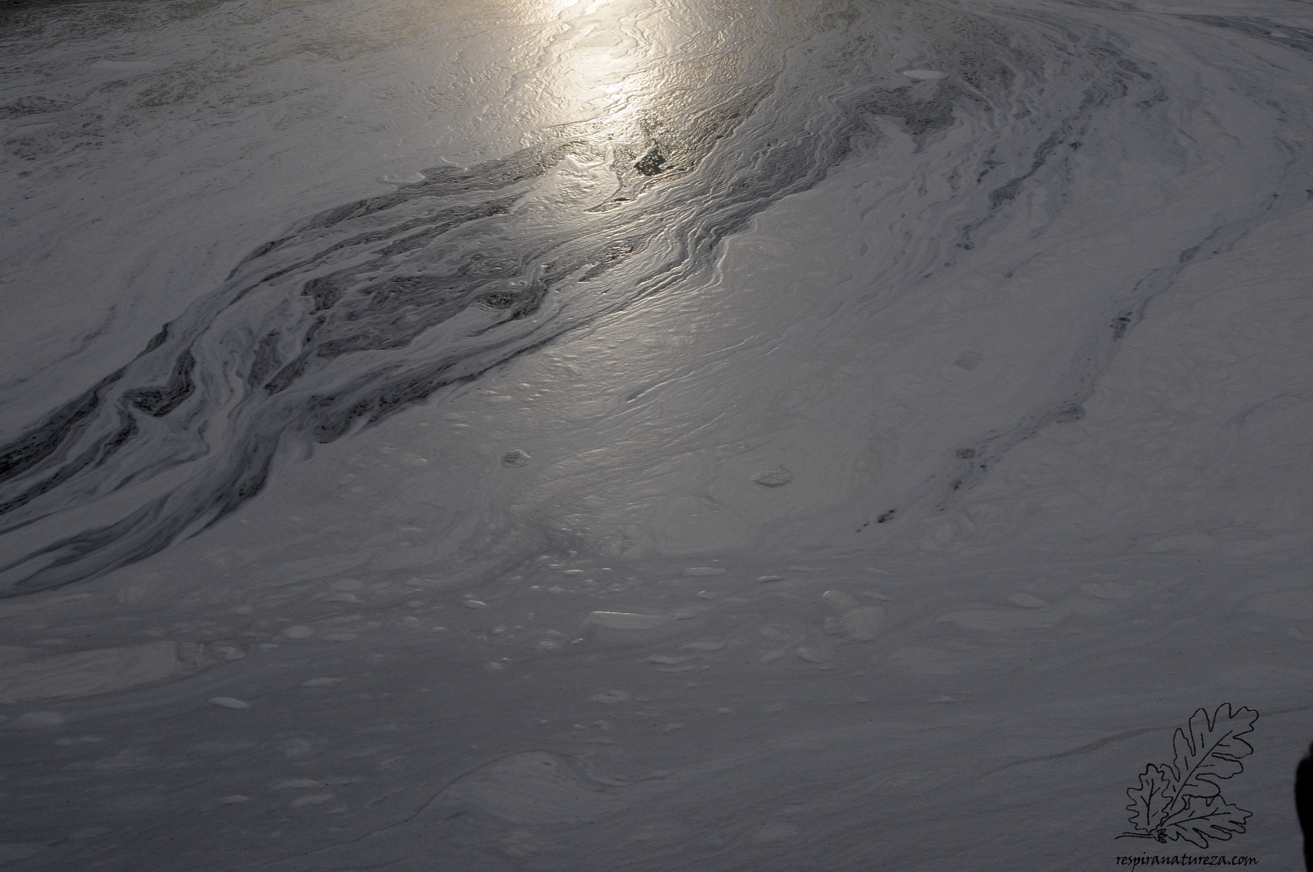 Poluição no rio Tejo.