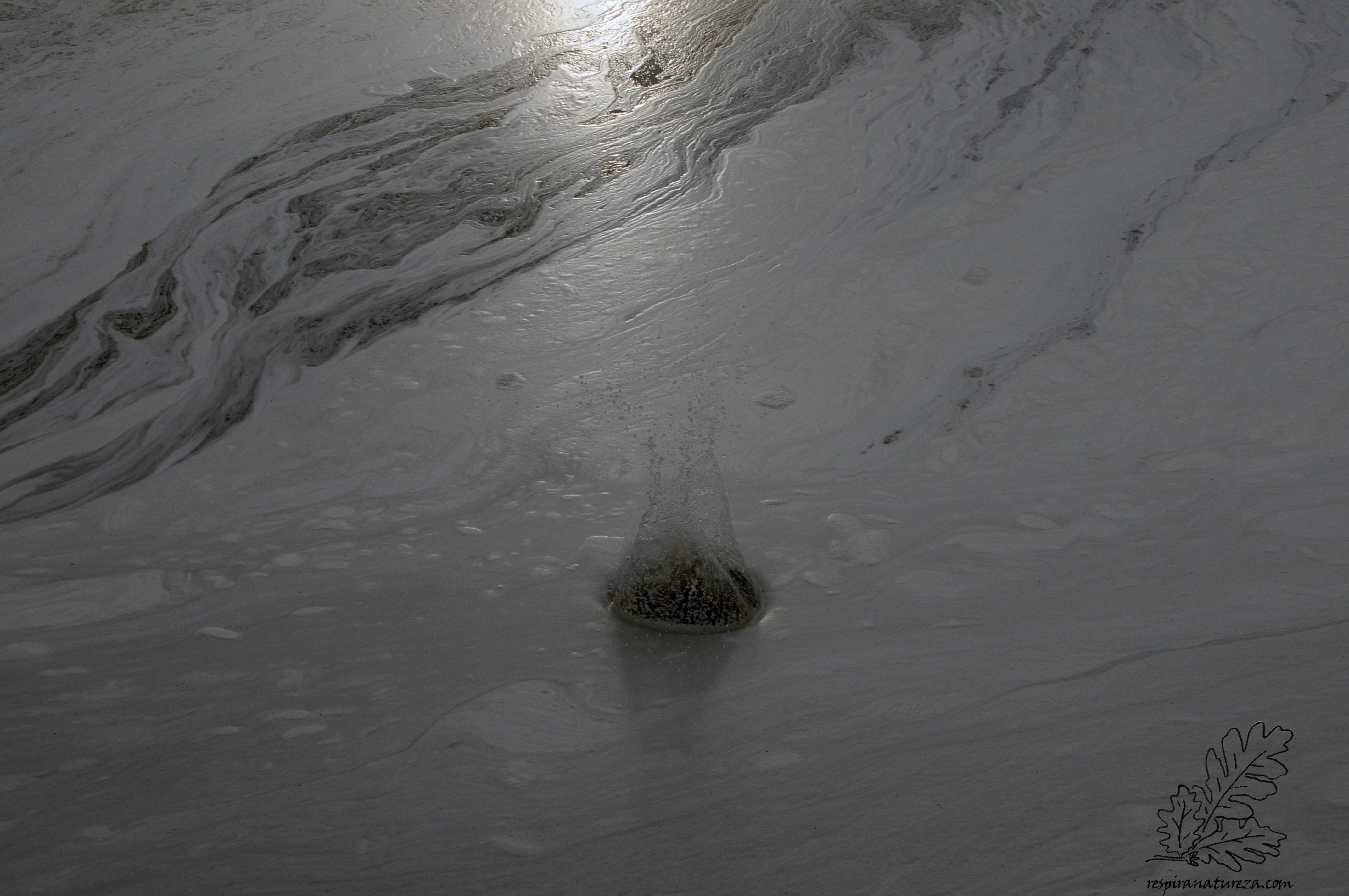 Poluição no rio Tejo.