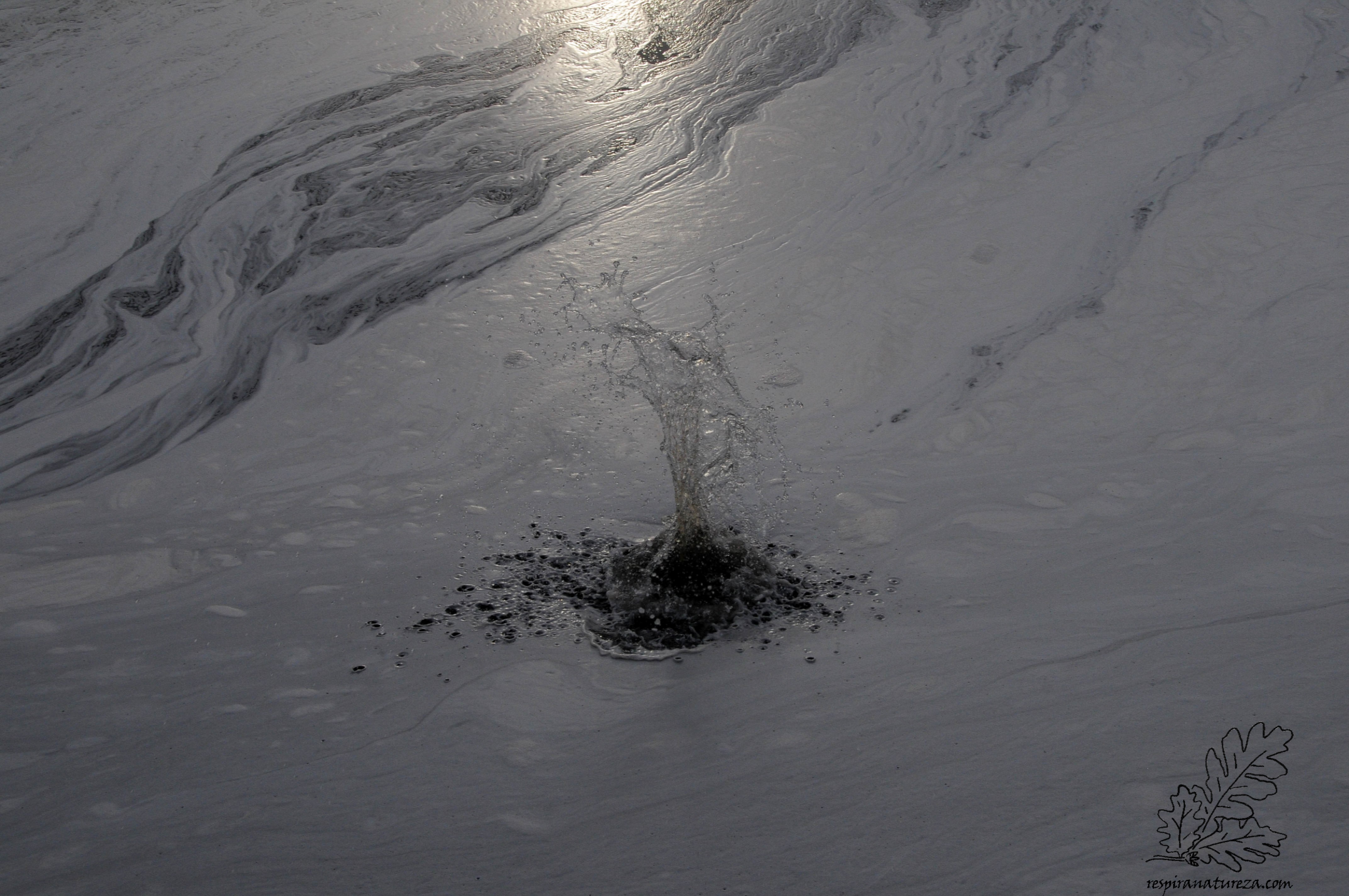 Poluição no rio Tejo.