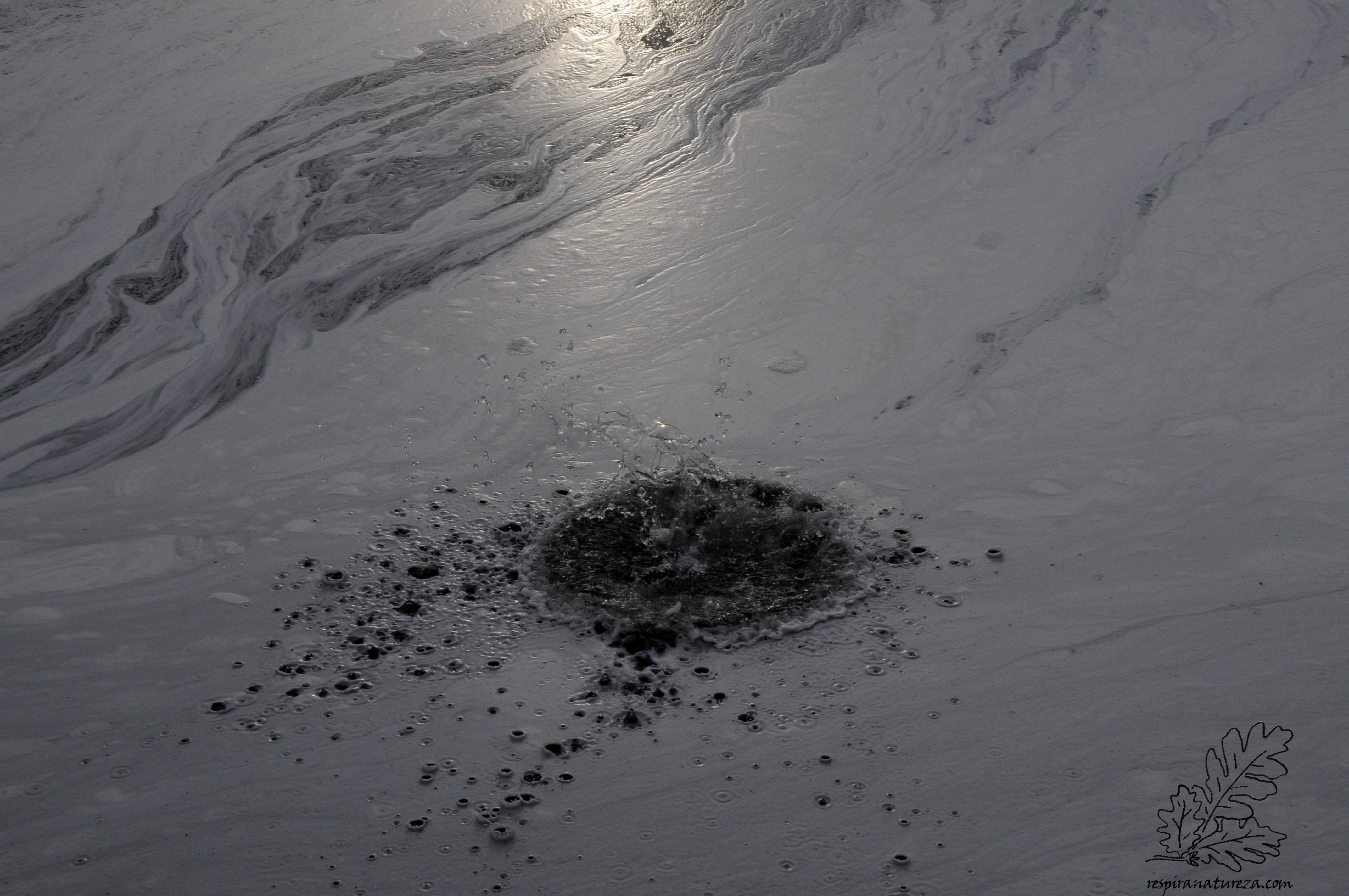 Poluição no rio Tejo.