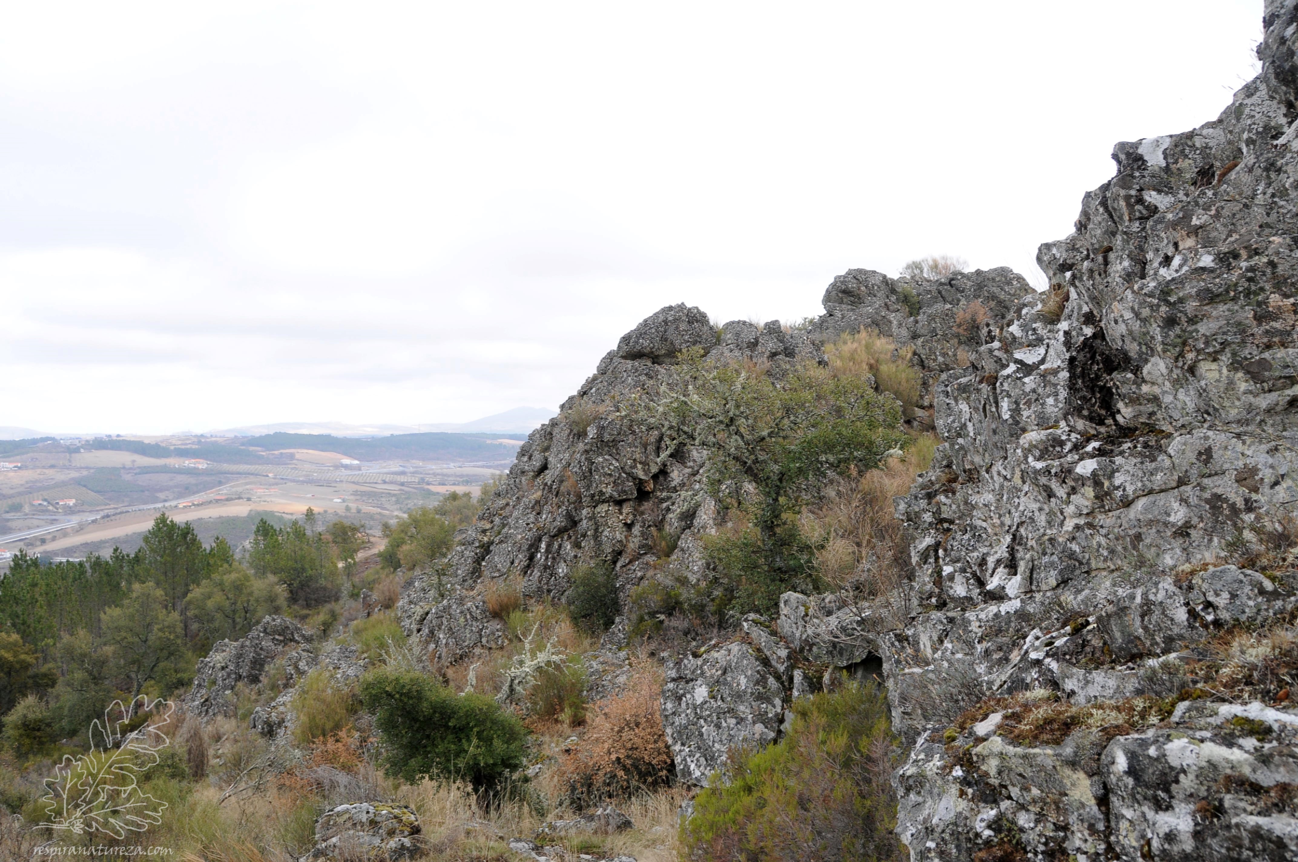 Apesar de não ter subido até ao topo da serra a vista é imensa.