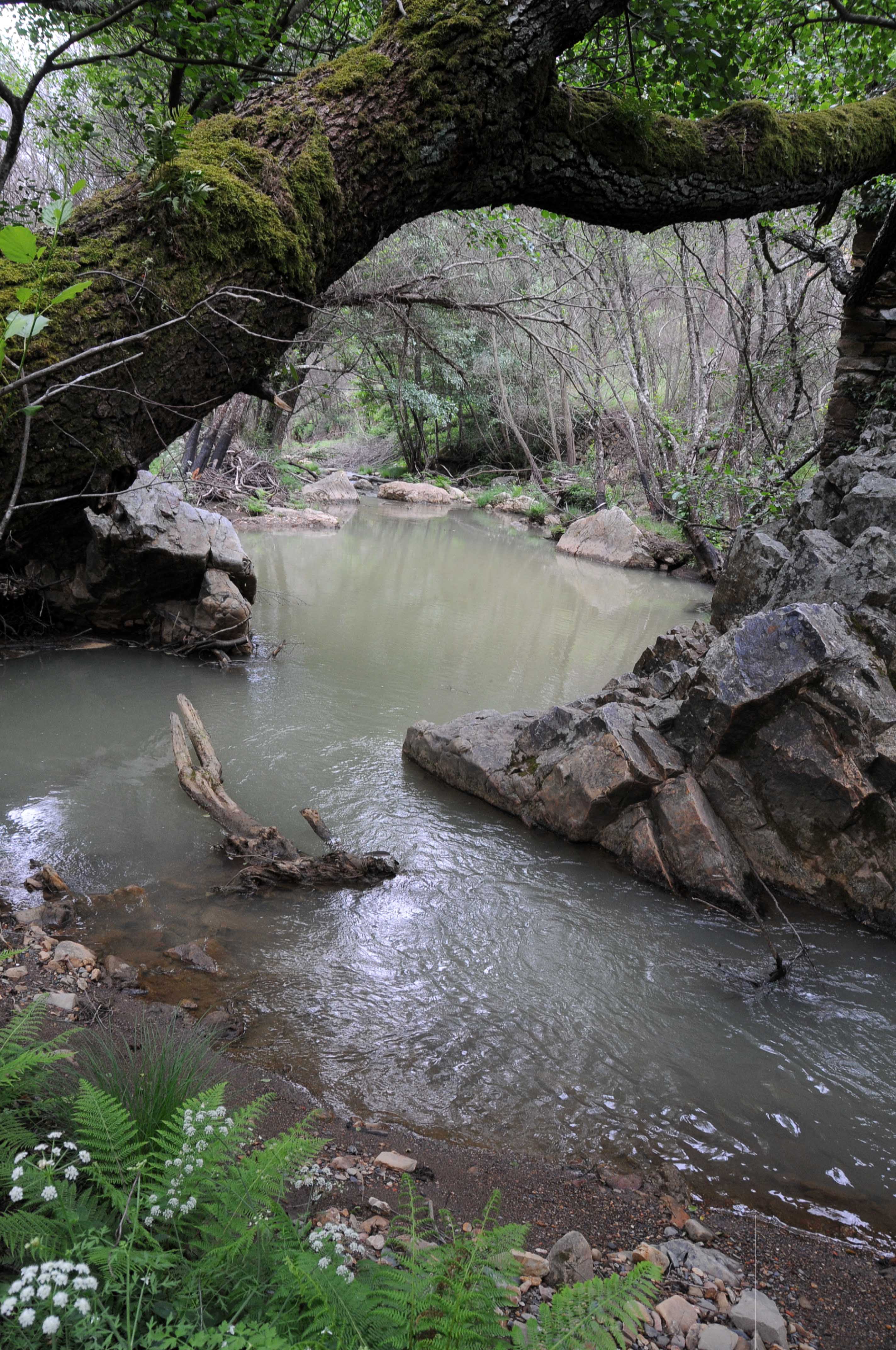 Com as enxurradas a água ganha uma cor acastanhada...