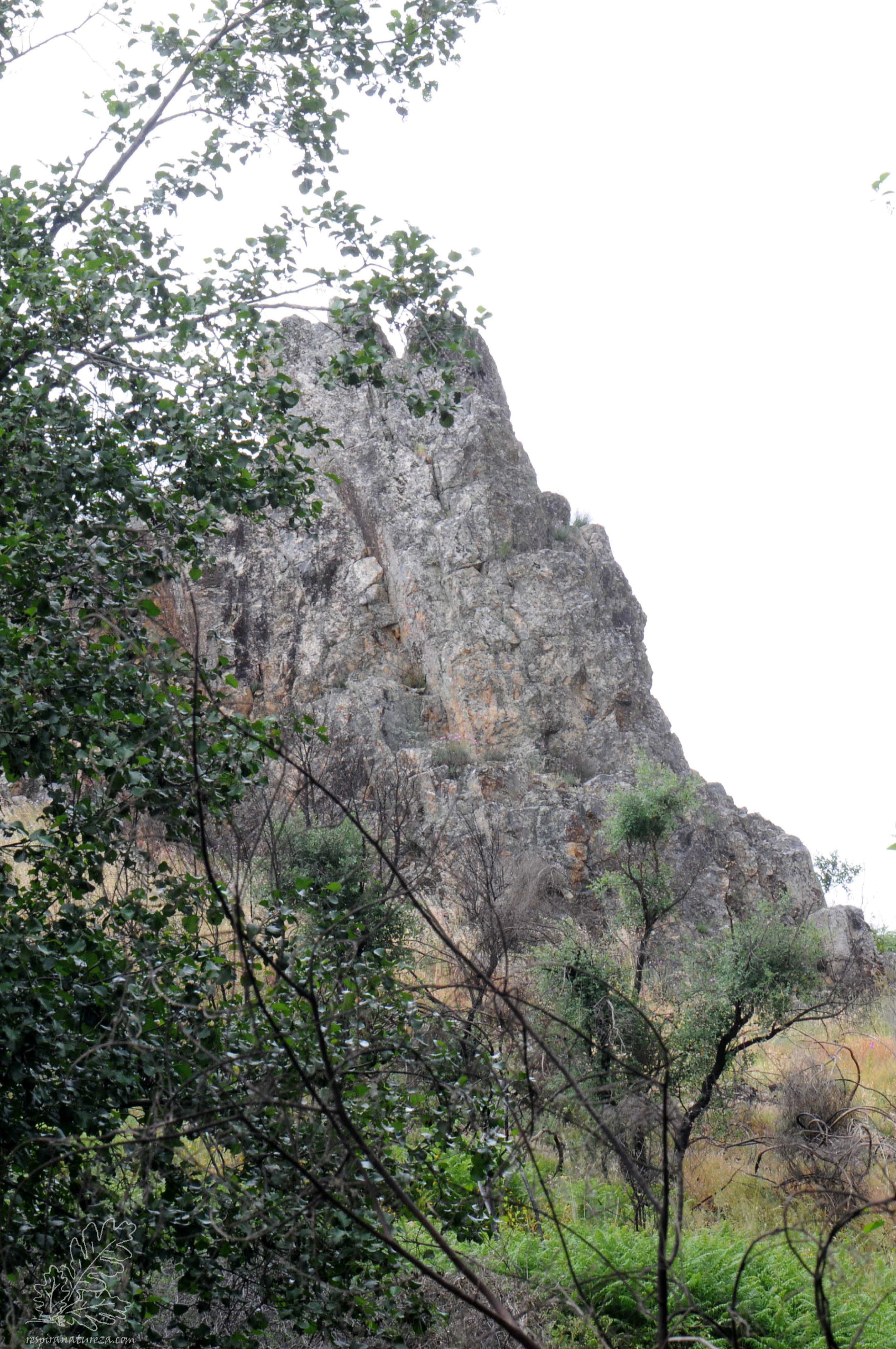 Afloramento quartzitico.