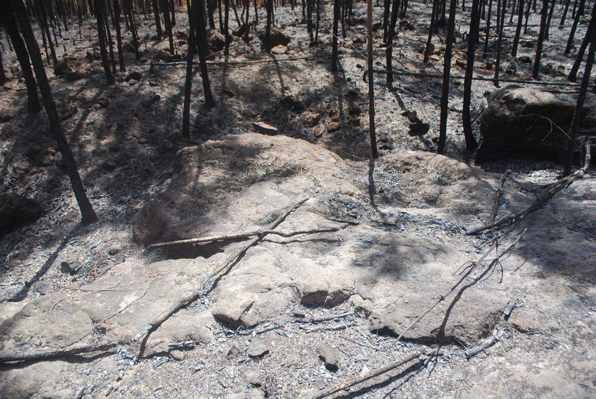 29 de Julho de 2017 após o grande incêndio.