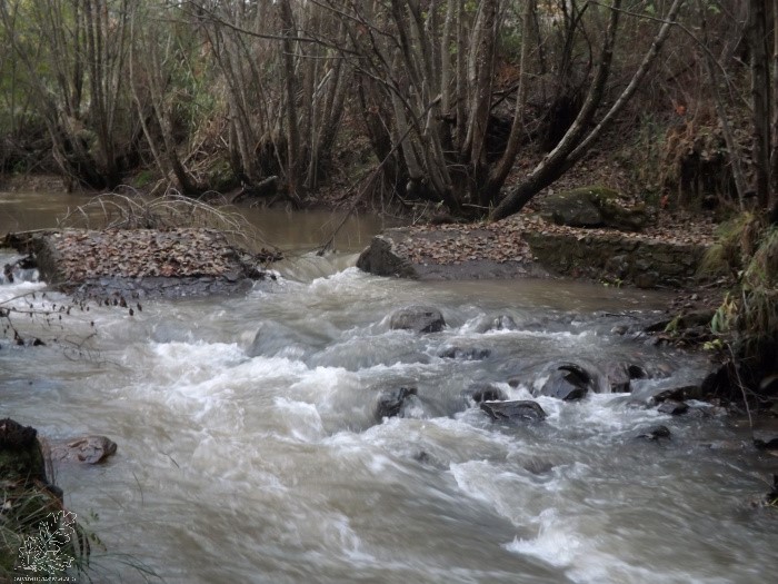 Tive de procurar nos meu arquivos por uma foto deste açude, pois não tirei fotografia. Assim já ficam com uma ideia por onde passamos a ribeira...
