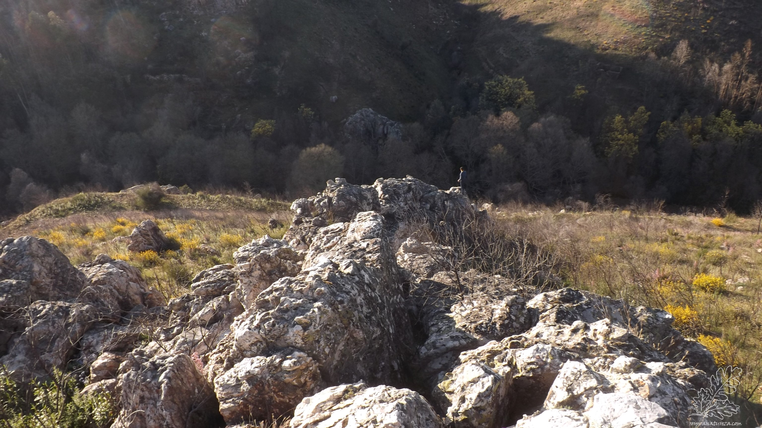Algures em Mação...