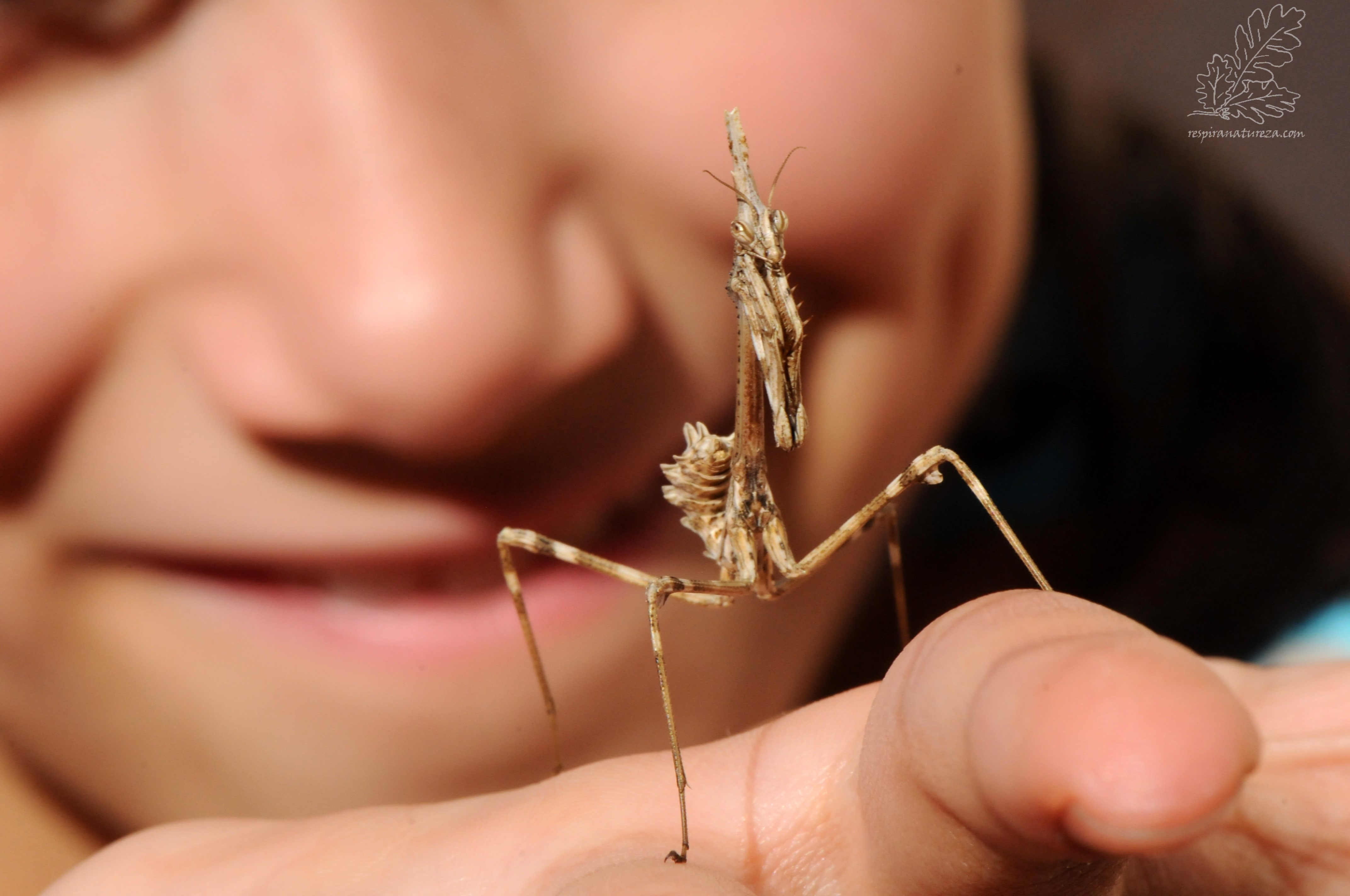 Talvez inspirado com o que escrevi ou com a simplicidade desta foto, hoje trago um artigo um pouco diferente, não falo de locais nem de espécies, mas sim de comportamentos de mudança.