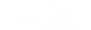 Britcon white logo