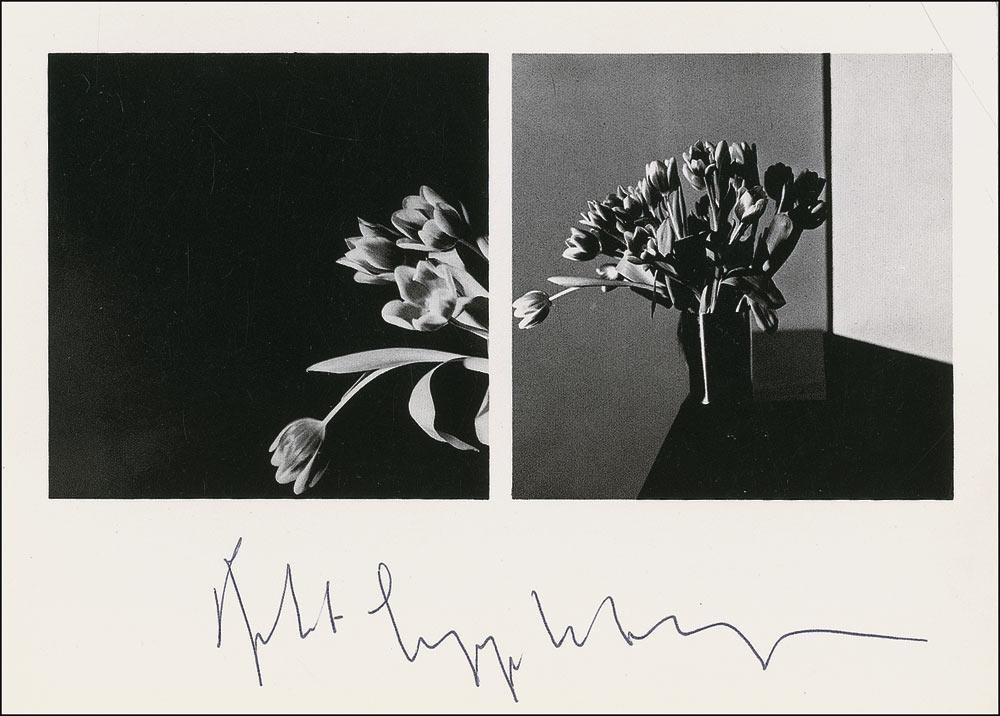 Mapplethorpe at Grunwald – BrockelPress