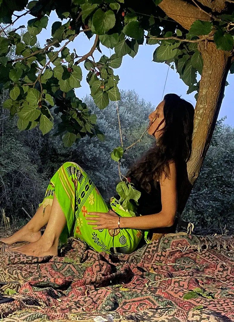 anna leaning tree