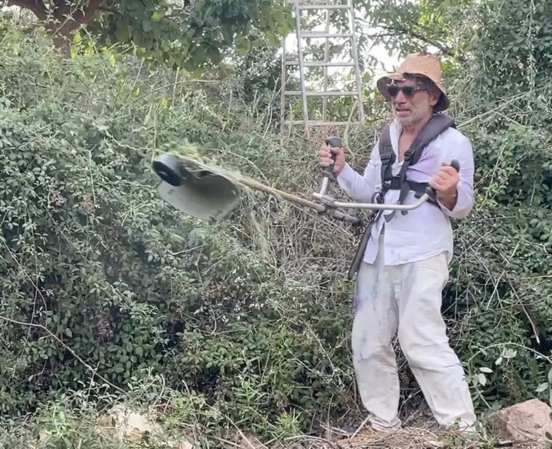 bec strimmer