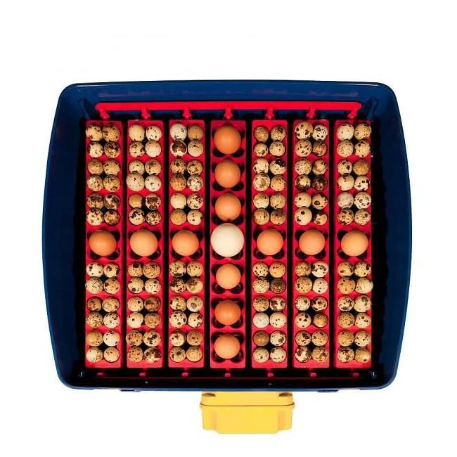 River EggTech Broedservice Broedmachine Borotto broedmachine broedmachines Borotto borotto HHD broedmachine broedmachine HHD broedmachines