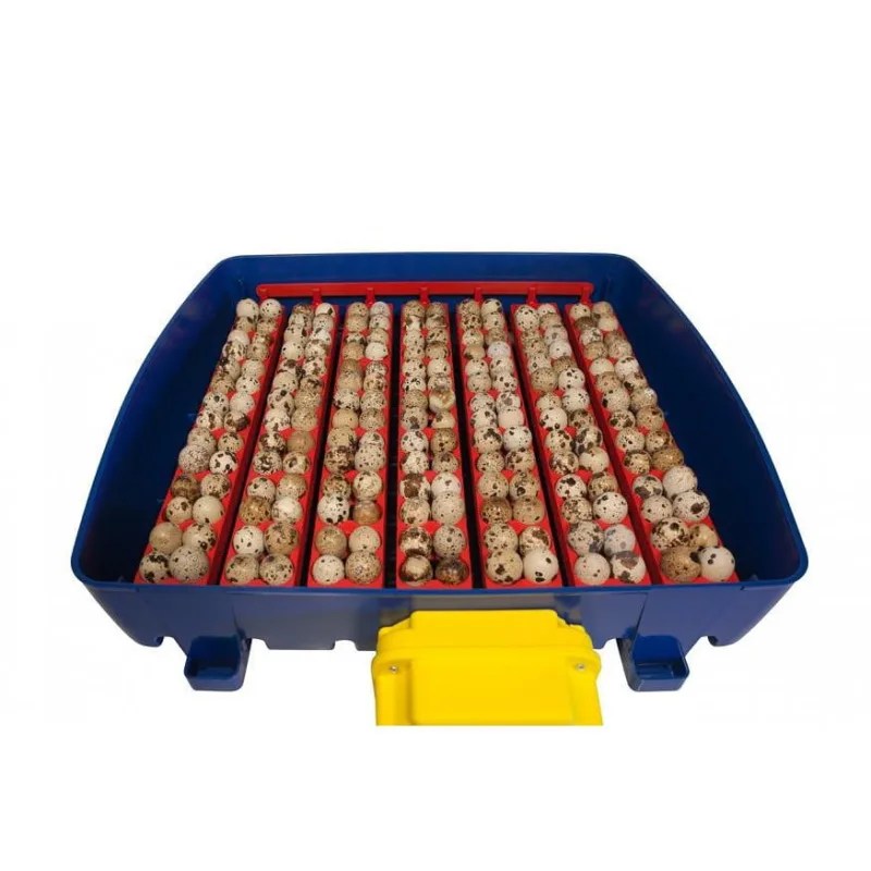 River EggTech Broedservice Broedmachine Borotto broedmachine broedmachines Borotto borotto HHD broedmachine broedmachine HHD broedmachines